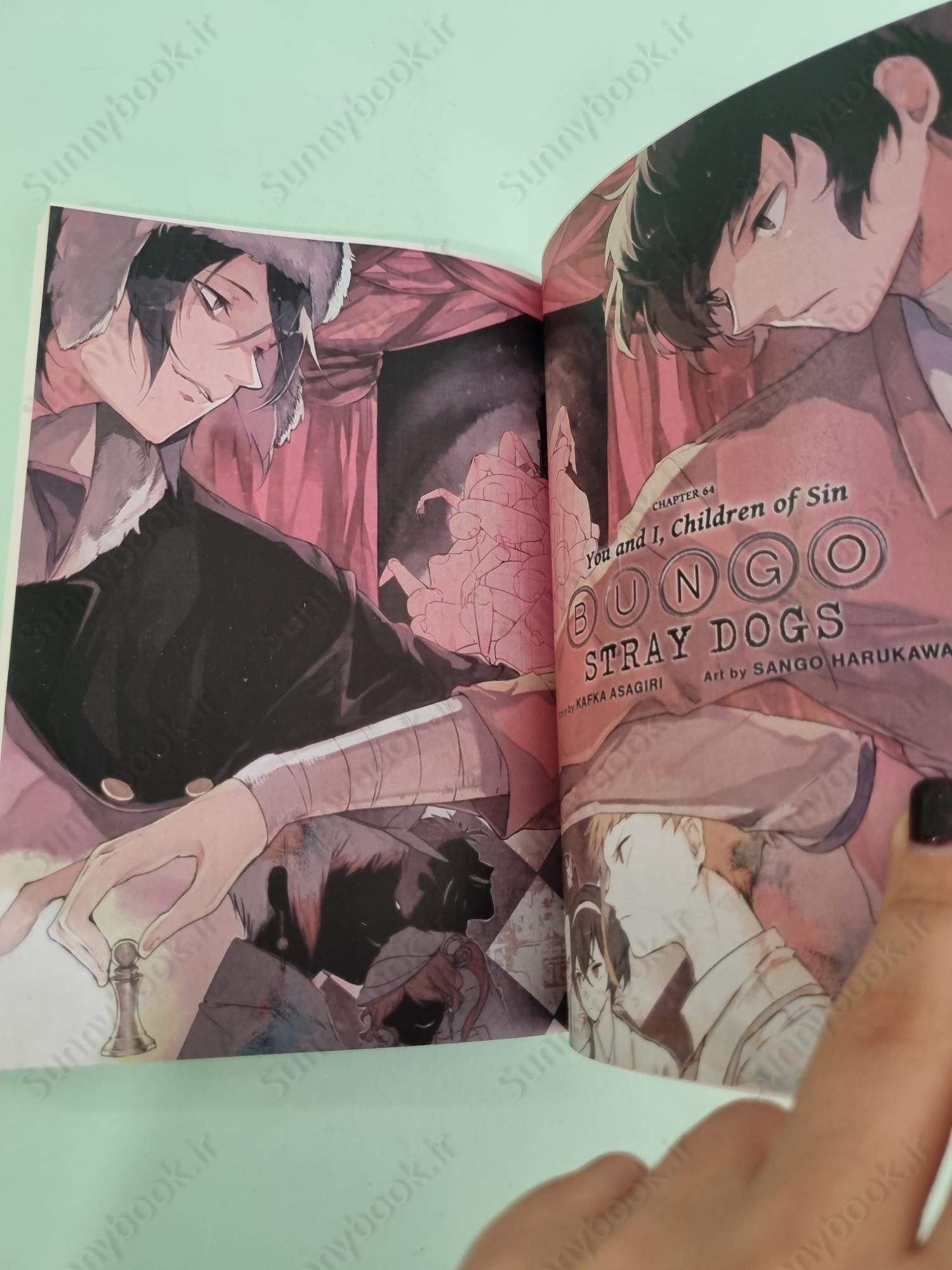 Bungo Stray Dogs 16 main 1 6