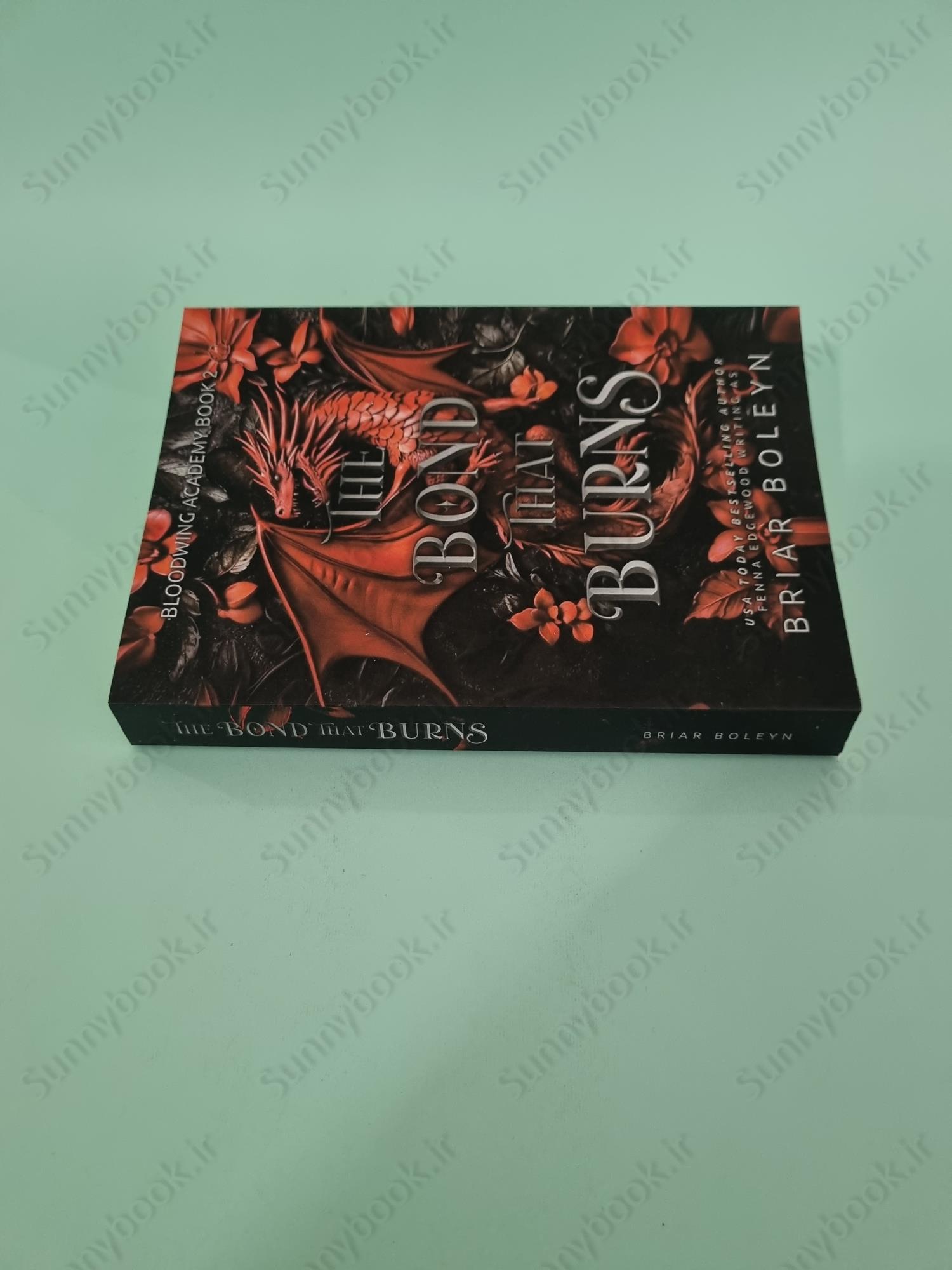 The Bond That Burns (Bloodwing Academy Book 2) main 1 4