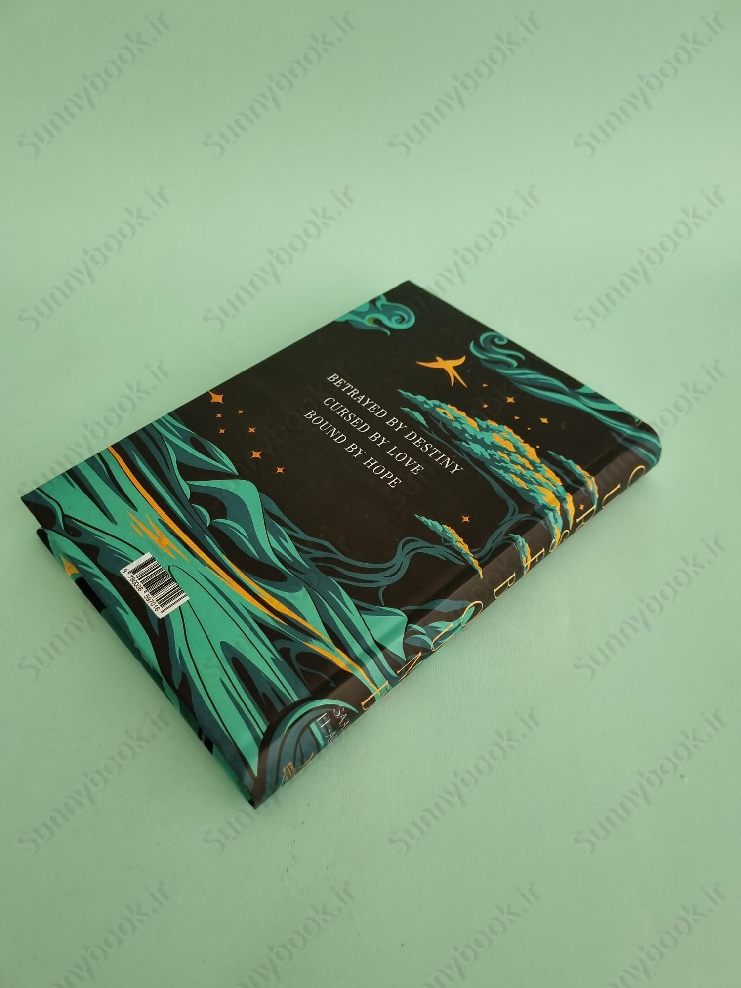 Cursebound (Faebound 2) main 1 5