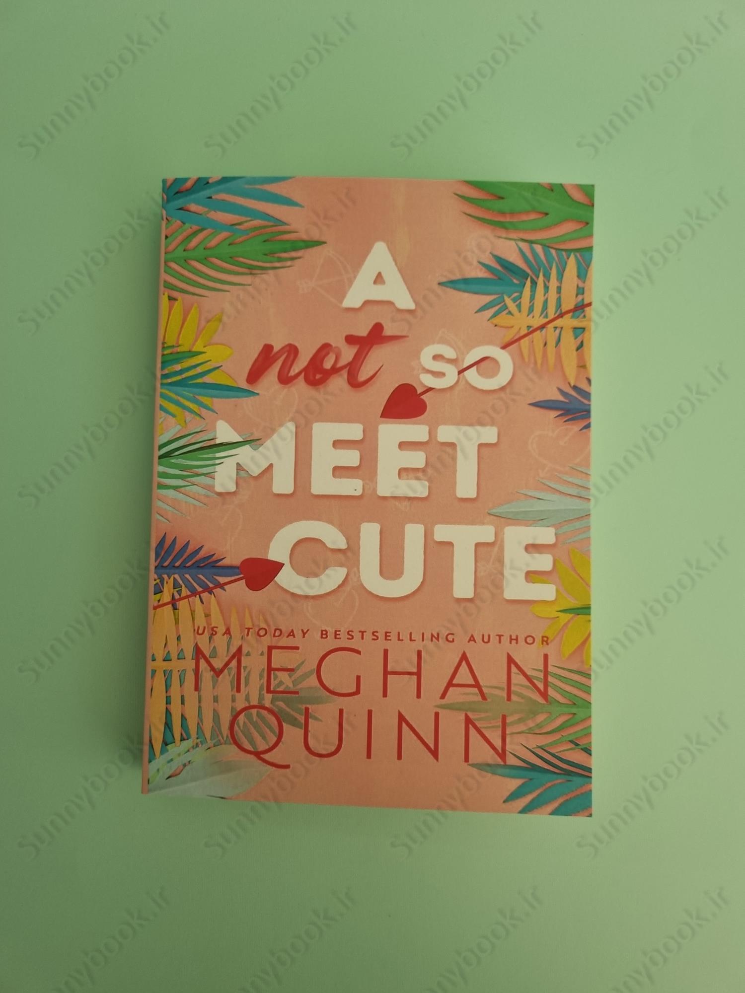 A Not So Meet Cute (Cane Brothers, 1) main 1 2