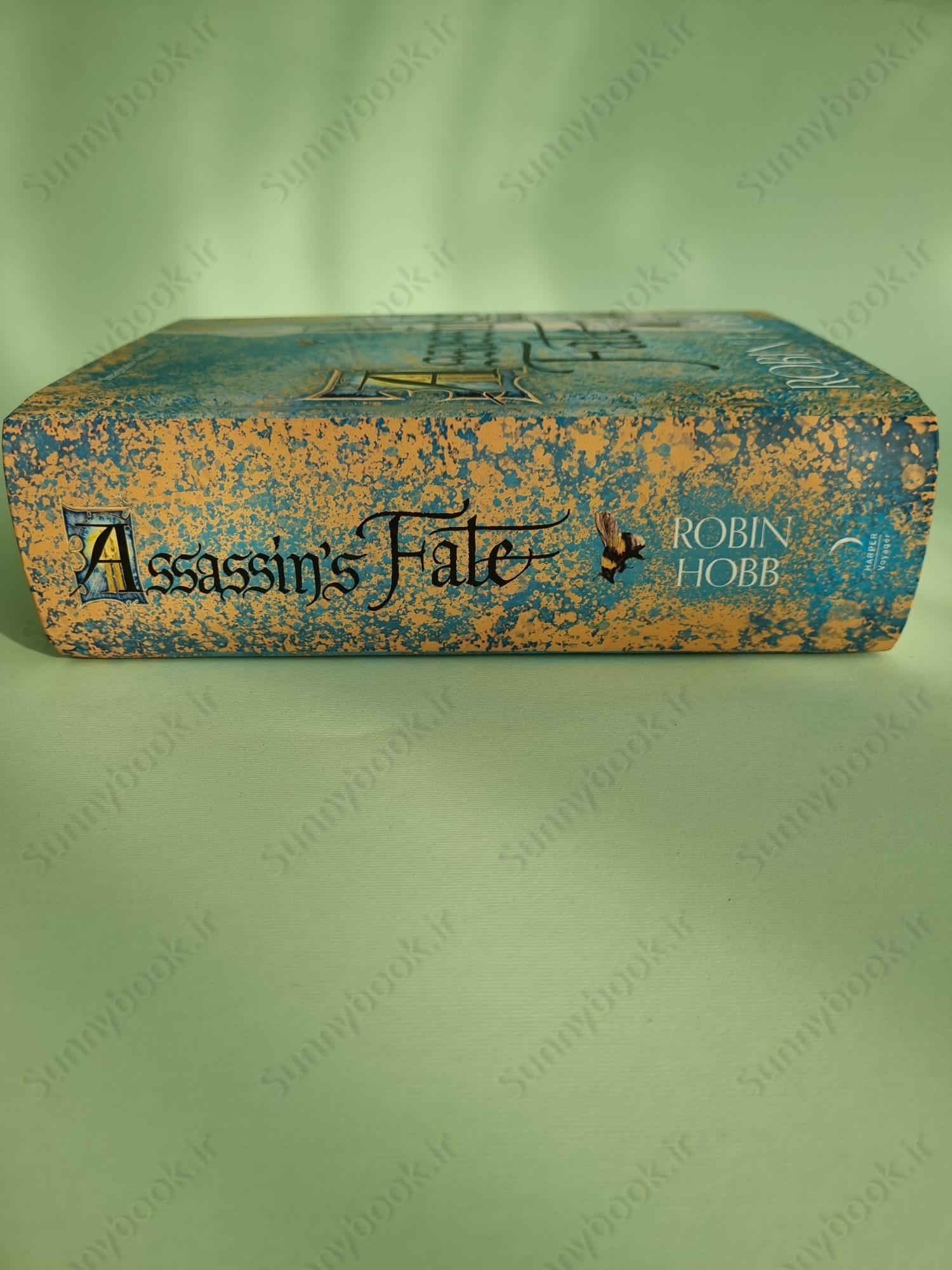 Assassin’s Fate (Fitz and the Fool 3) main 1 4