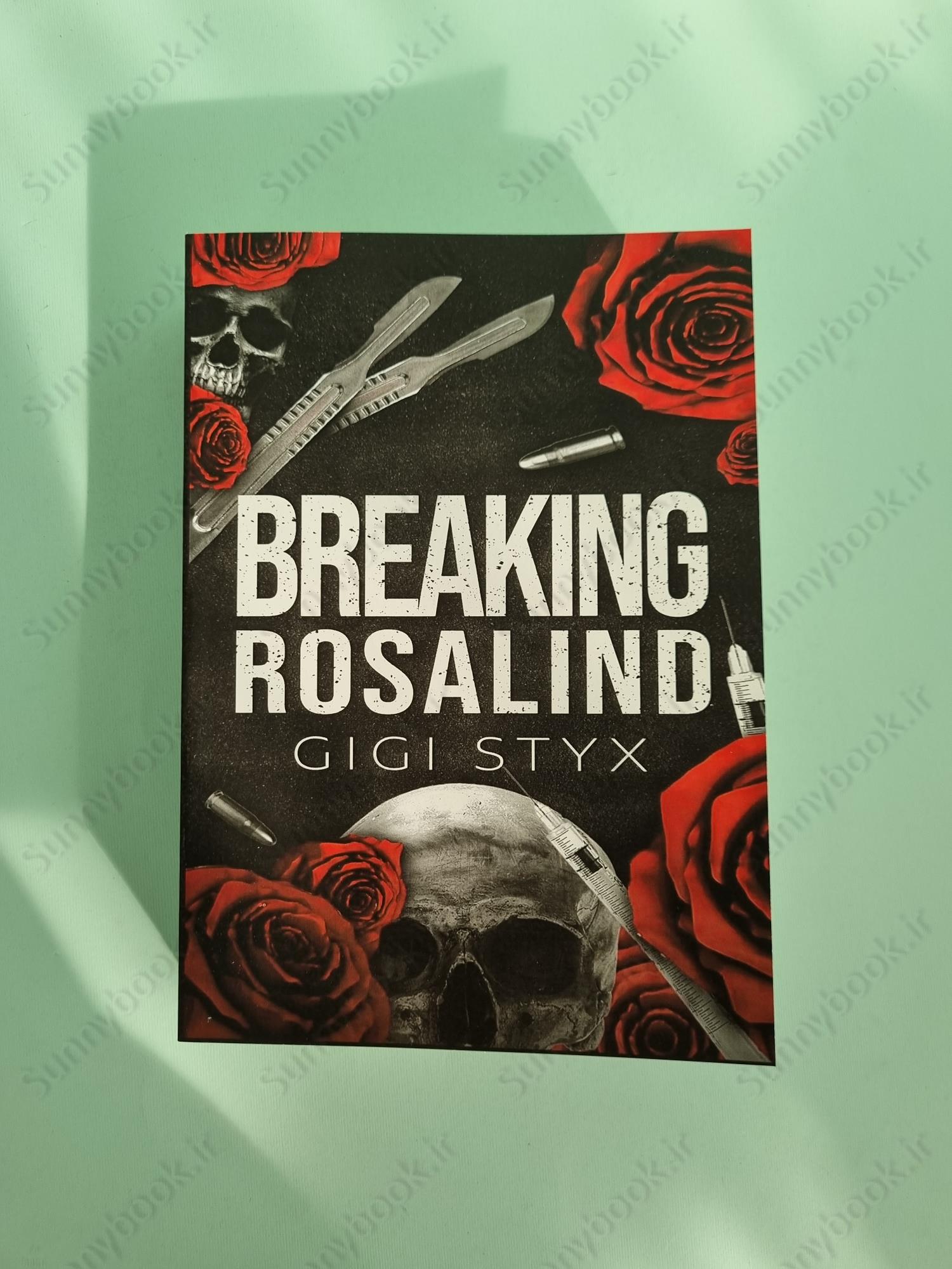 Breaking Rosalind (Morally Black Book 3) main 1 2