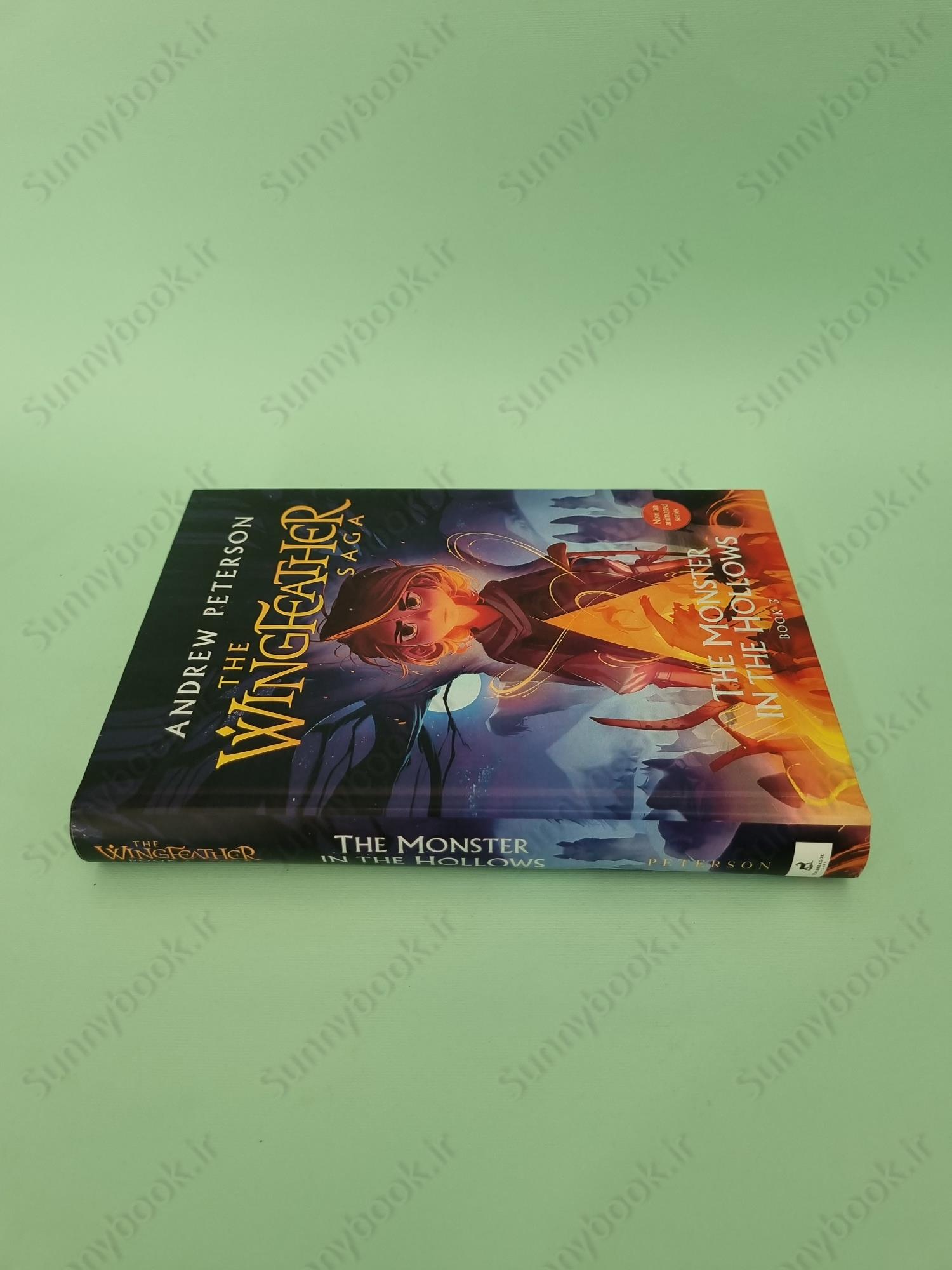 Monster in the Hollows: (Wingfeather Series 3) main 1 4