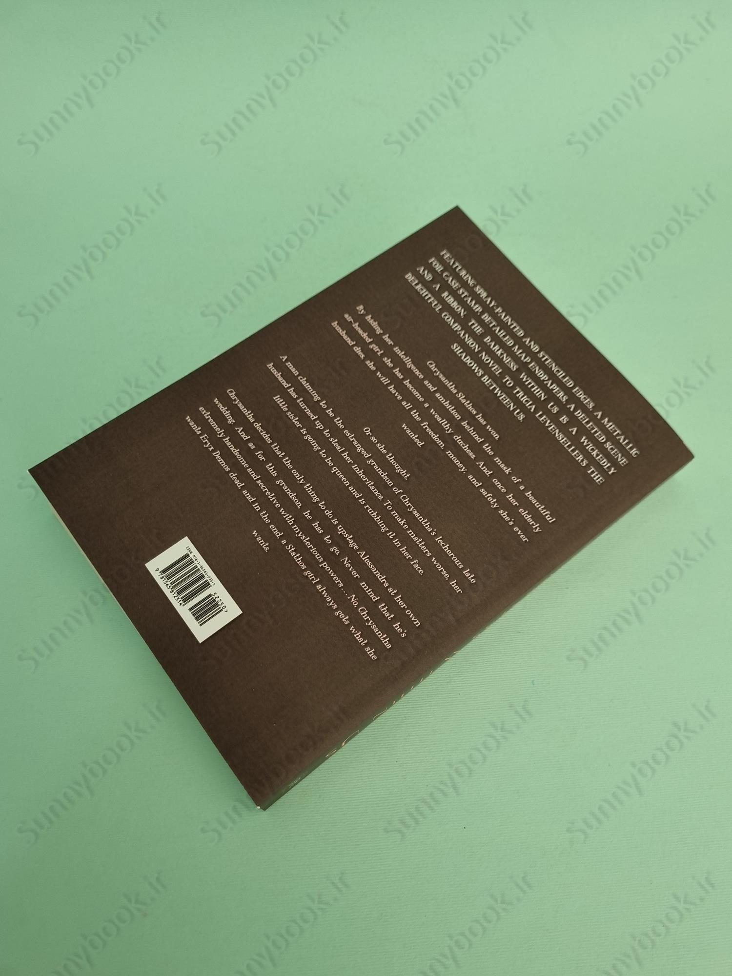 The Darkness Within Us (The Shadows Between Us Book2) main 1 4