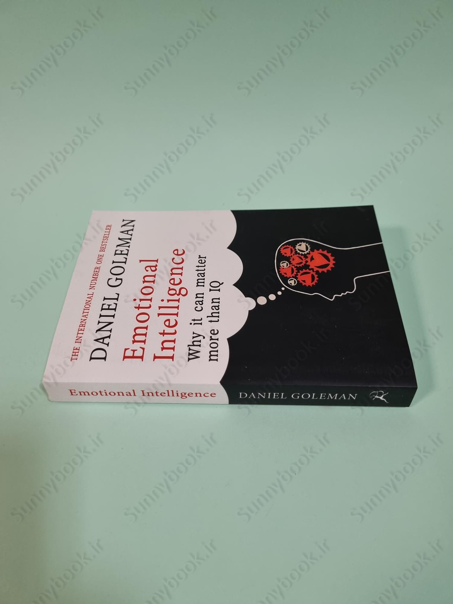 Emotional Intelligence: Why it Can Matter More Than IQ main 1 4