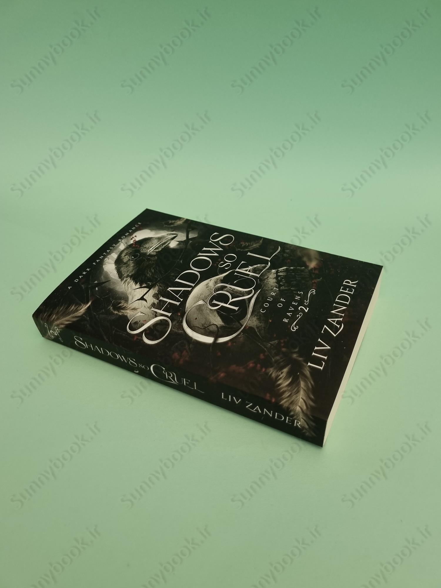 Shadows So Cruel (Court of Ravens 2) main 1 3