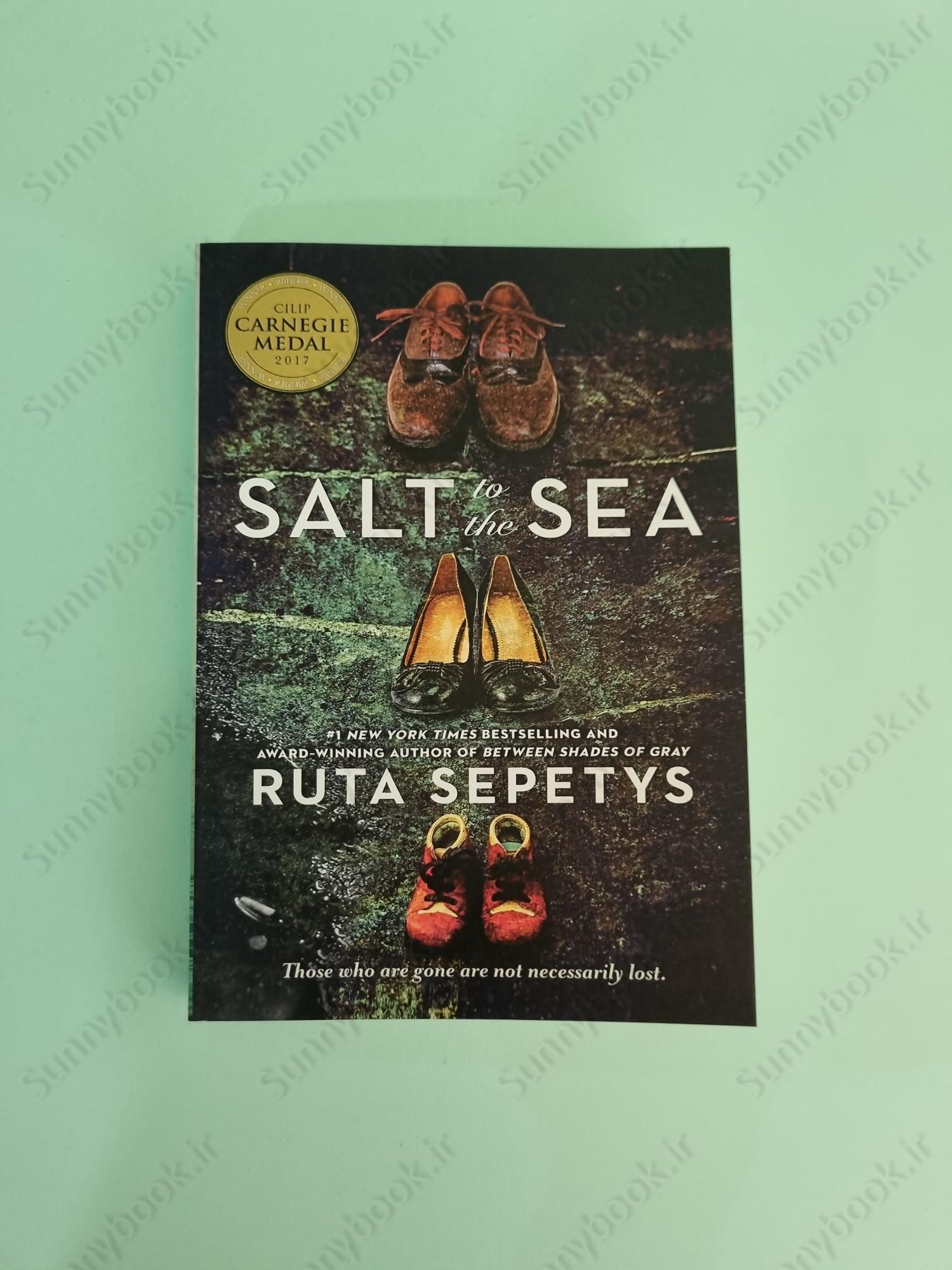 Salt to the Sea main 1 2