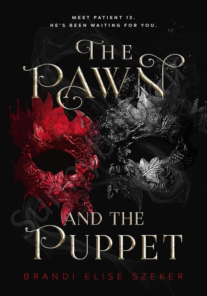 The Pawn and The Puppet  Book 1 main 1 1