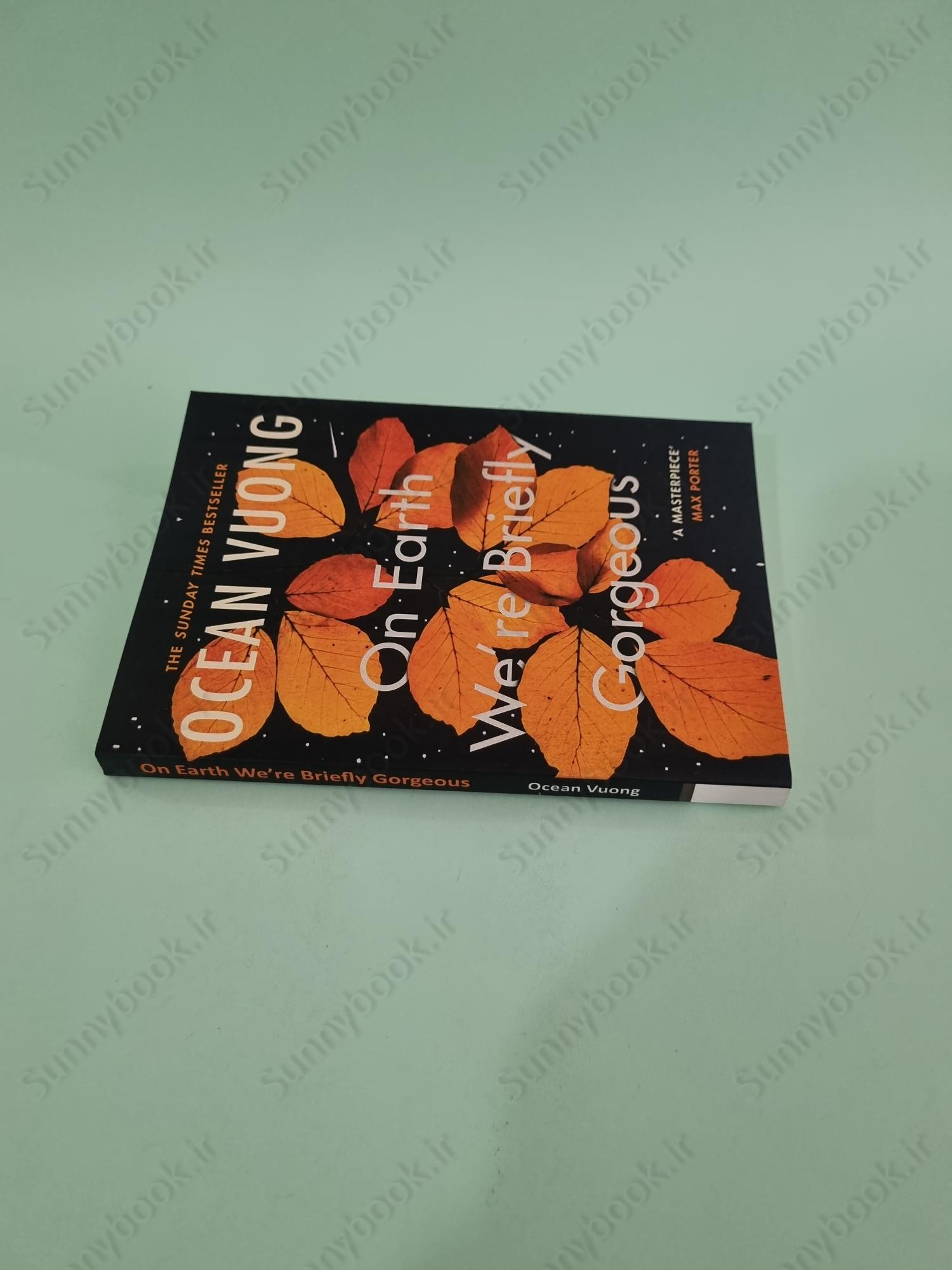 On Earth We're Briefly Gorgeous main 1 4