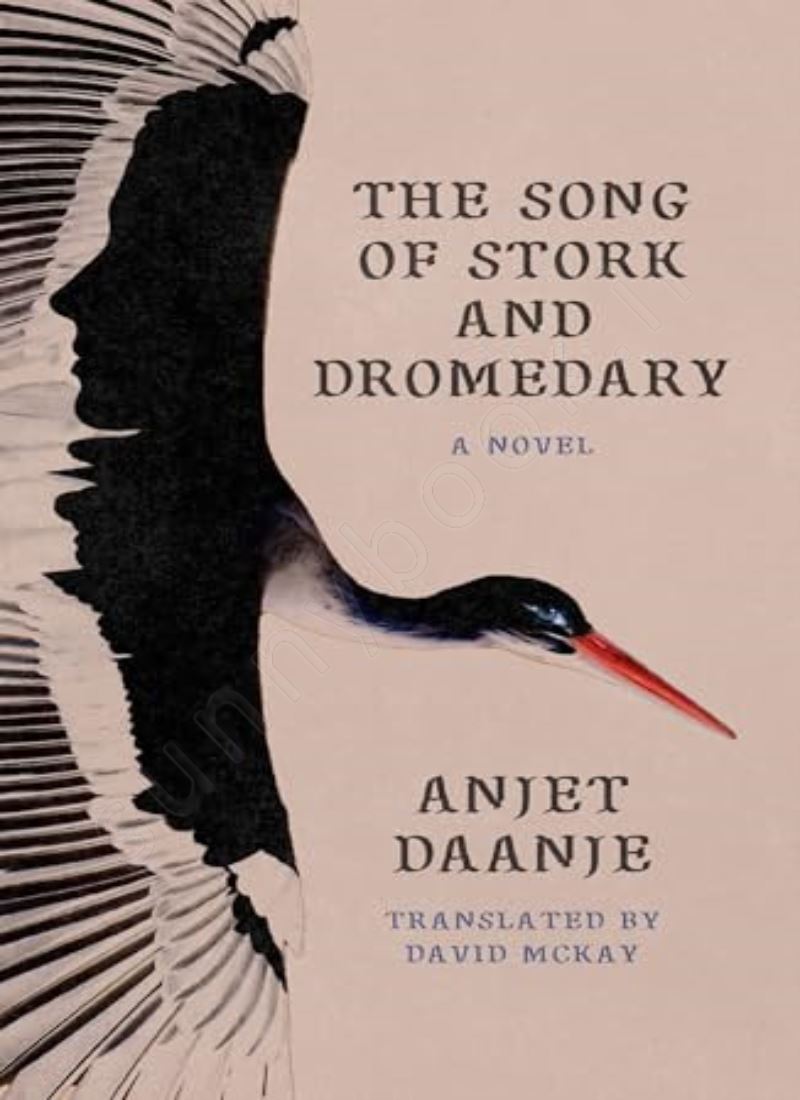 The Song of Stork and Dromedary main 1 1