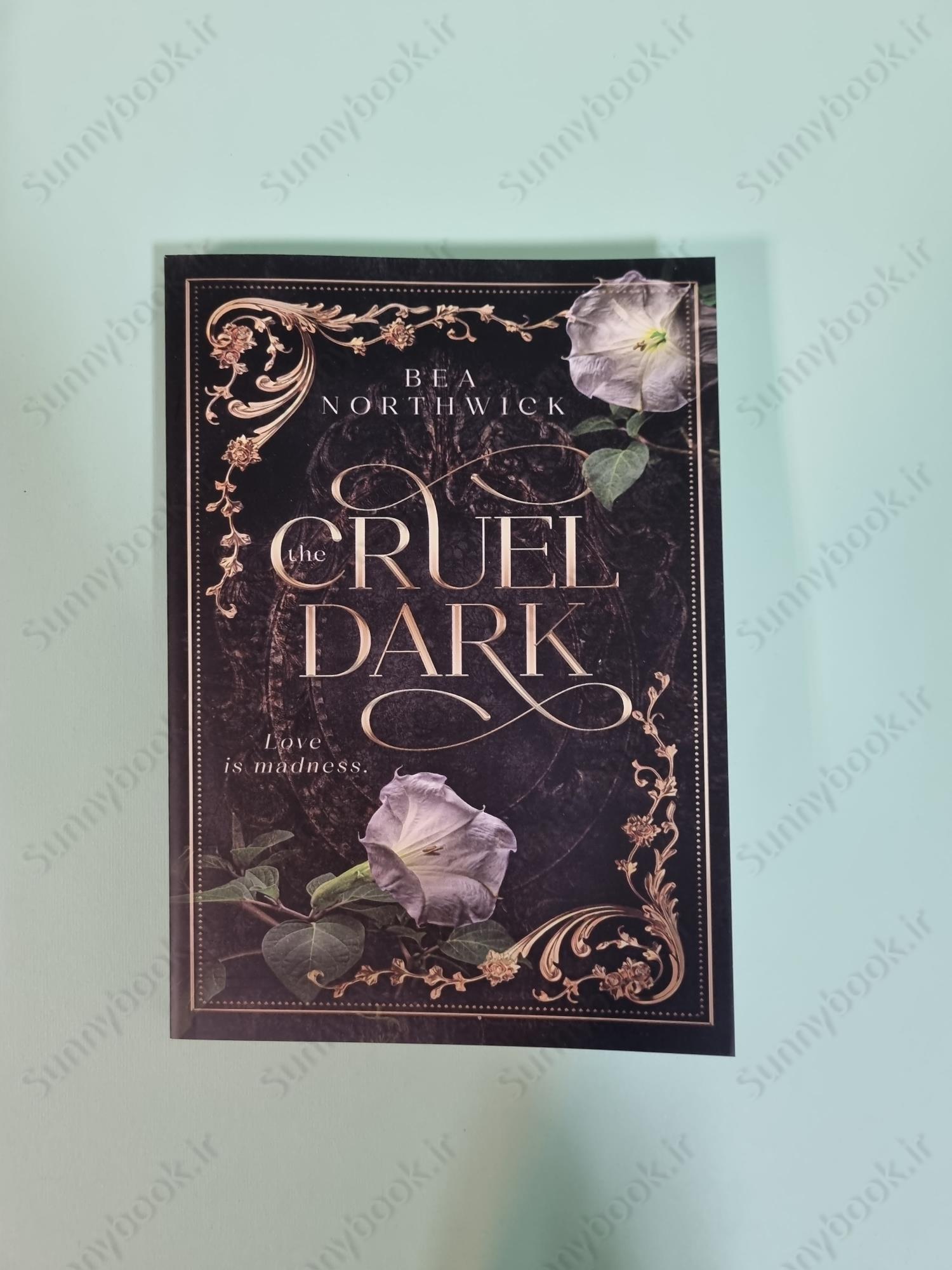 The Cruel Dark main 1 2