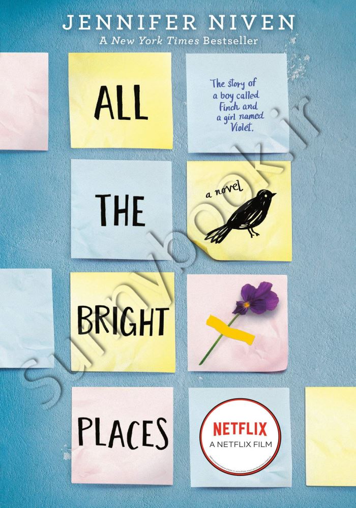 All the Bright Places main 1 1