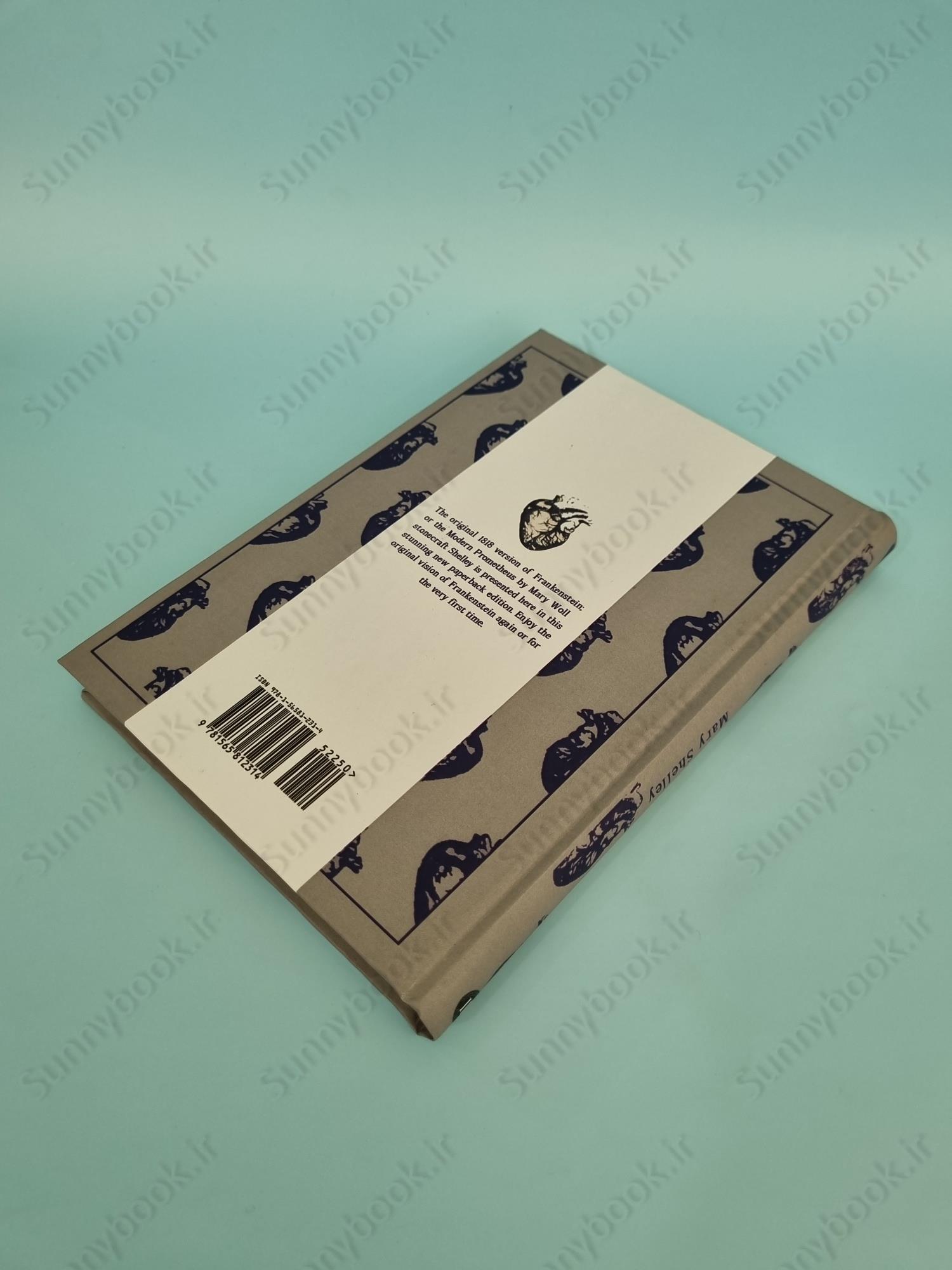 Frankenstein main 1 5