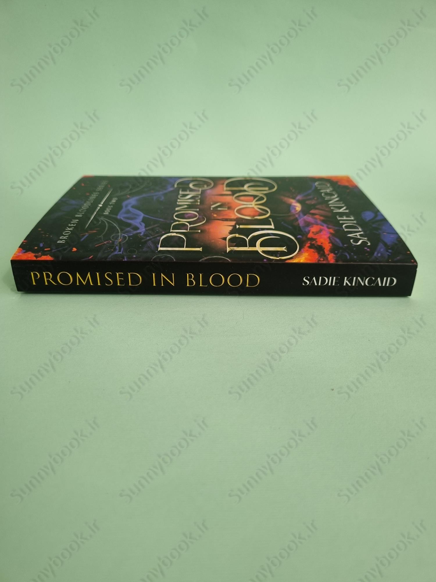 Promised in Blood (Broken Bloodlines Book 2) main 1 5