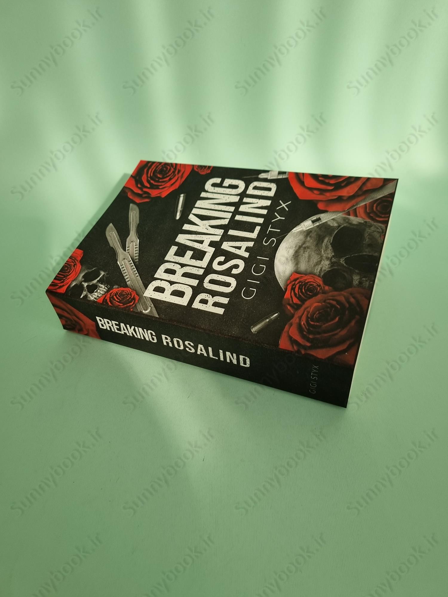 Breaking Rosalind (Morally Black Book 3) main 1 3