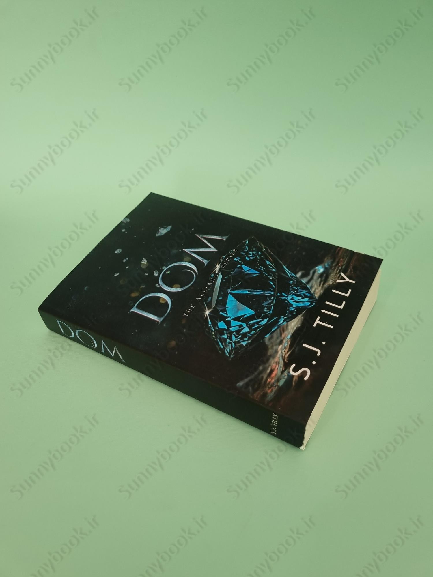 DOM: Alliance Series Book Three main 1 3