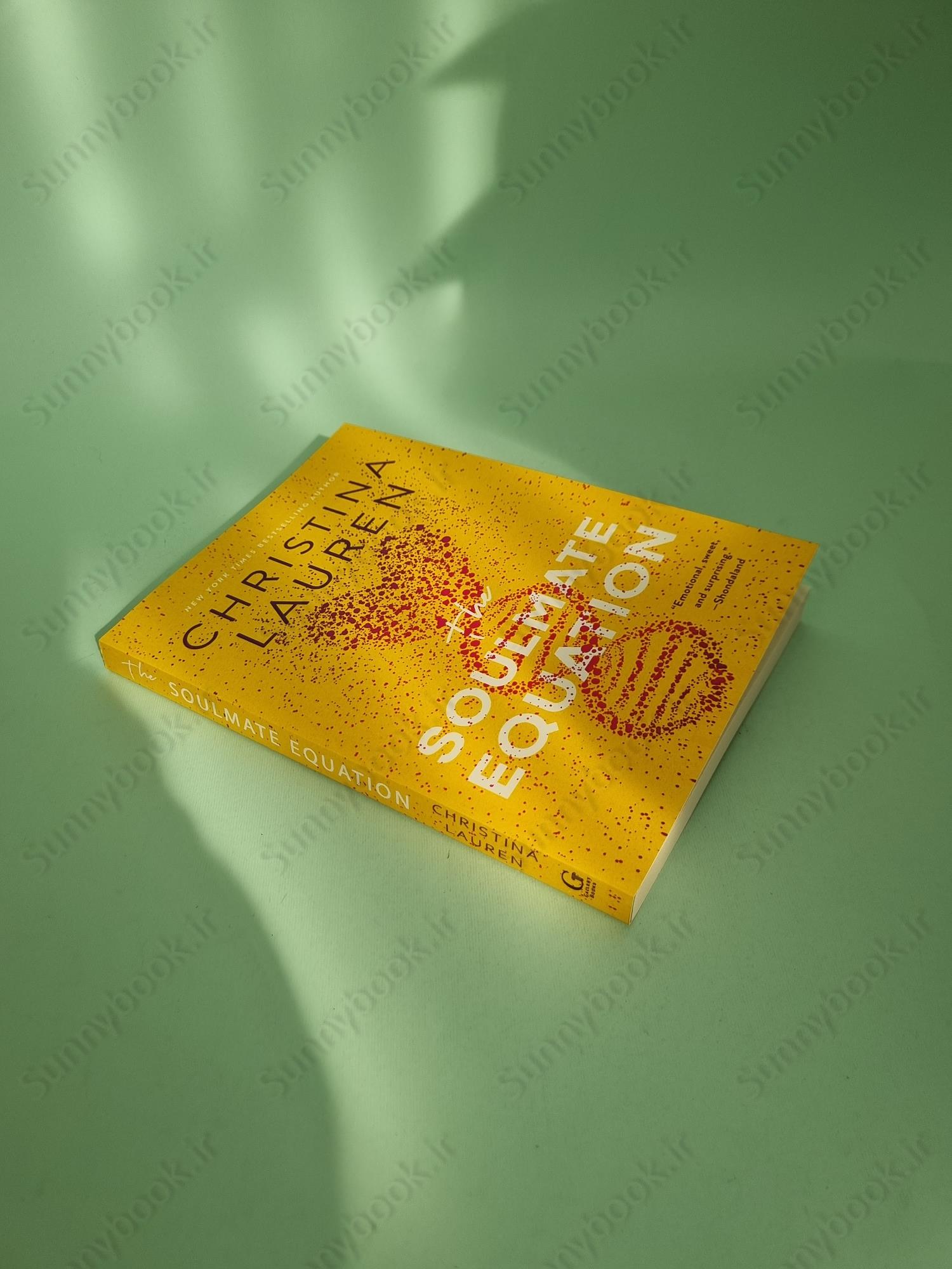 The Soulmate Equation main 1 3