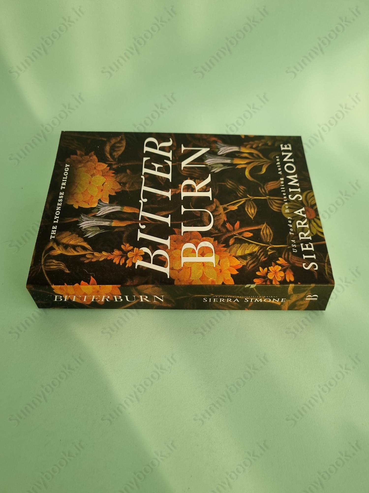 Bitter Burn (Lyonesse 3) main 1 4