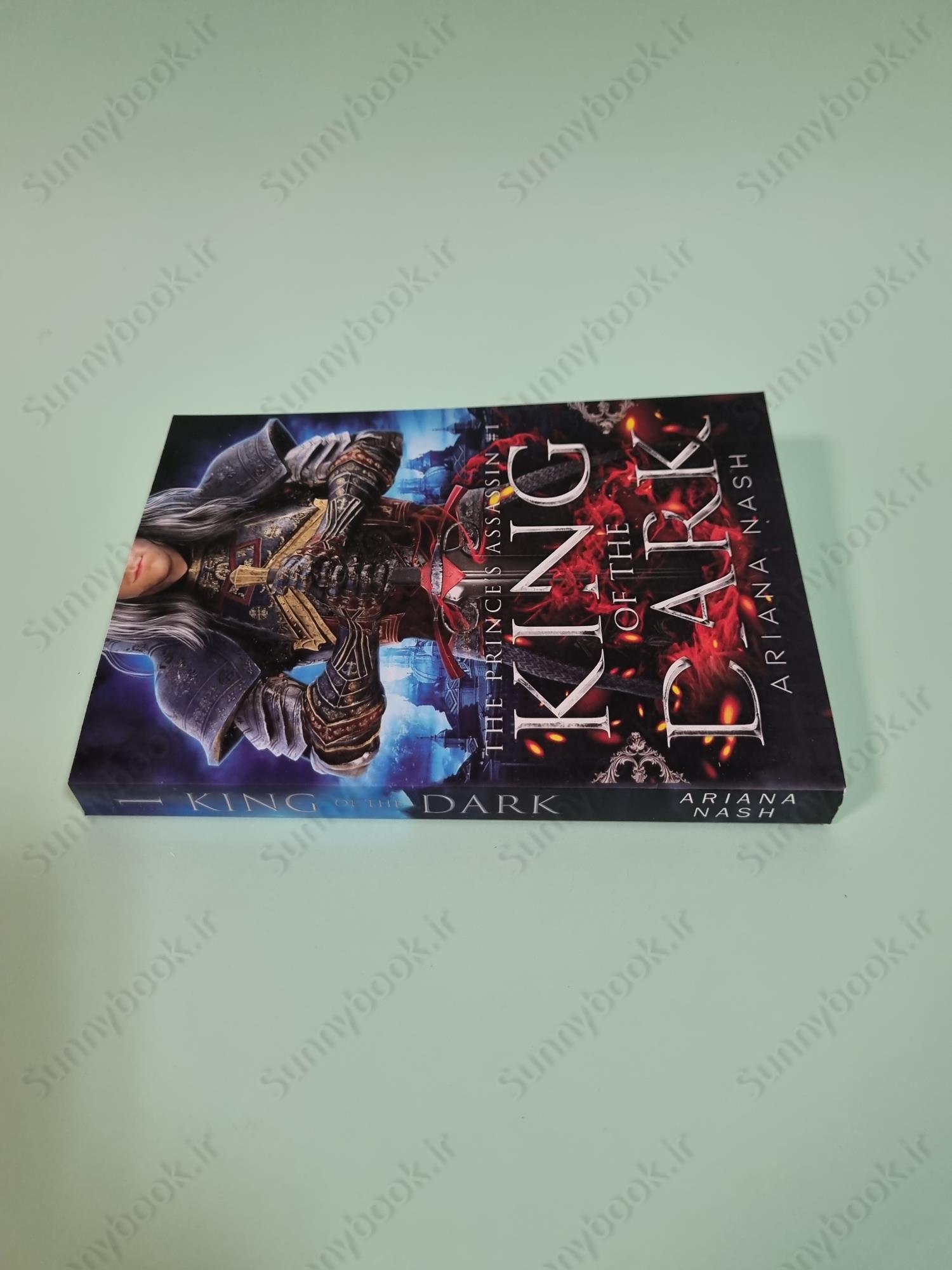 King of the Dark (Prince's Assassin 1) main 1 4