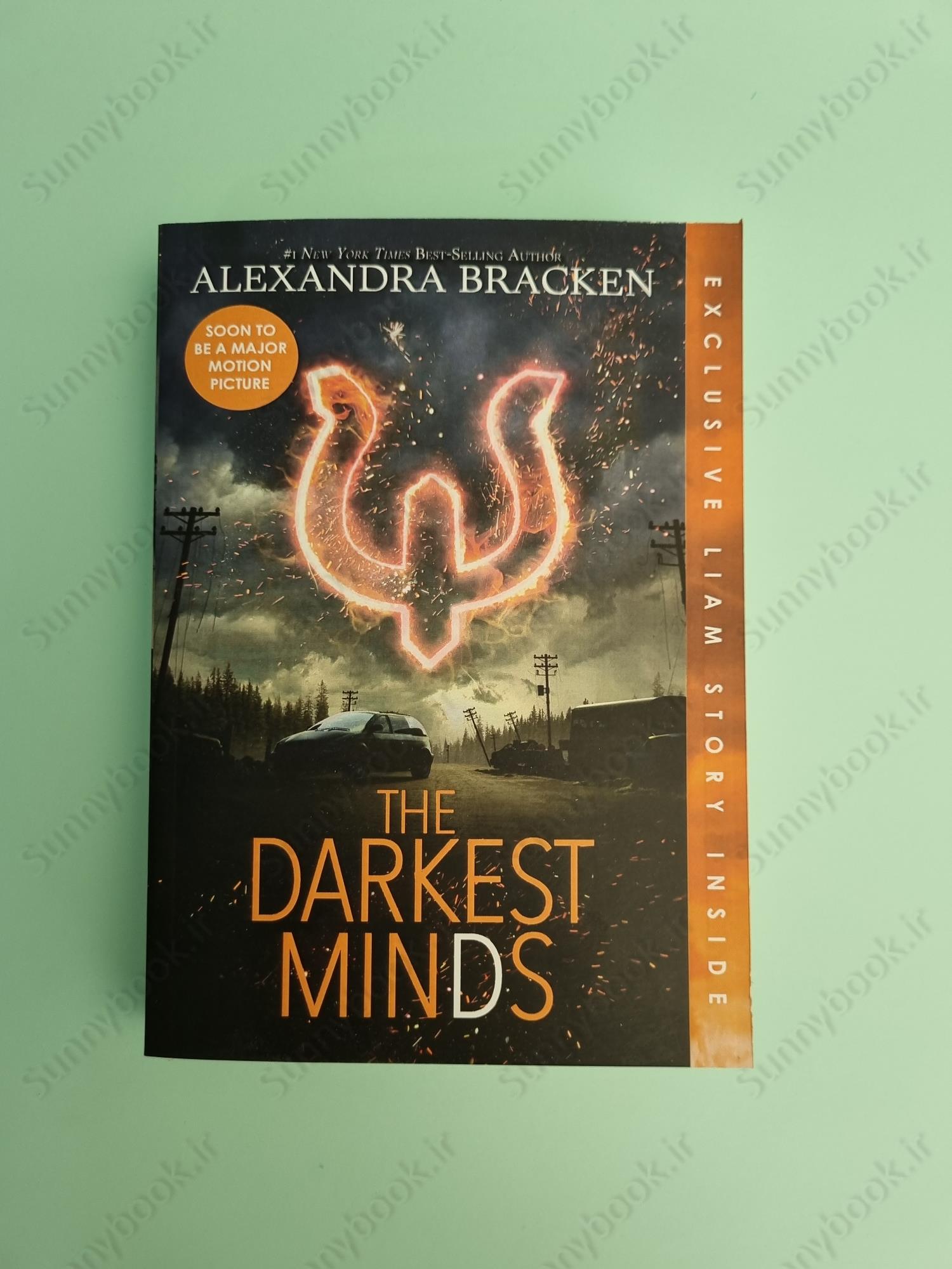 The Darkest Minds (A Darkest Minds book 1) main 1 2