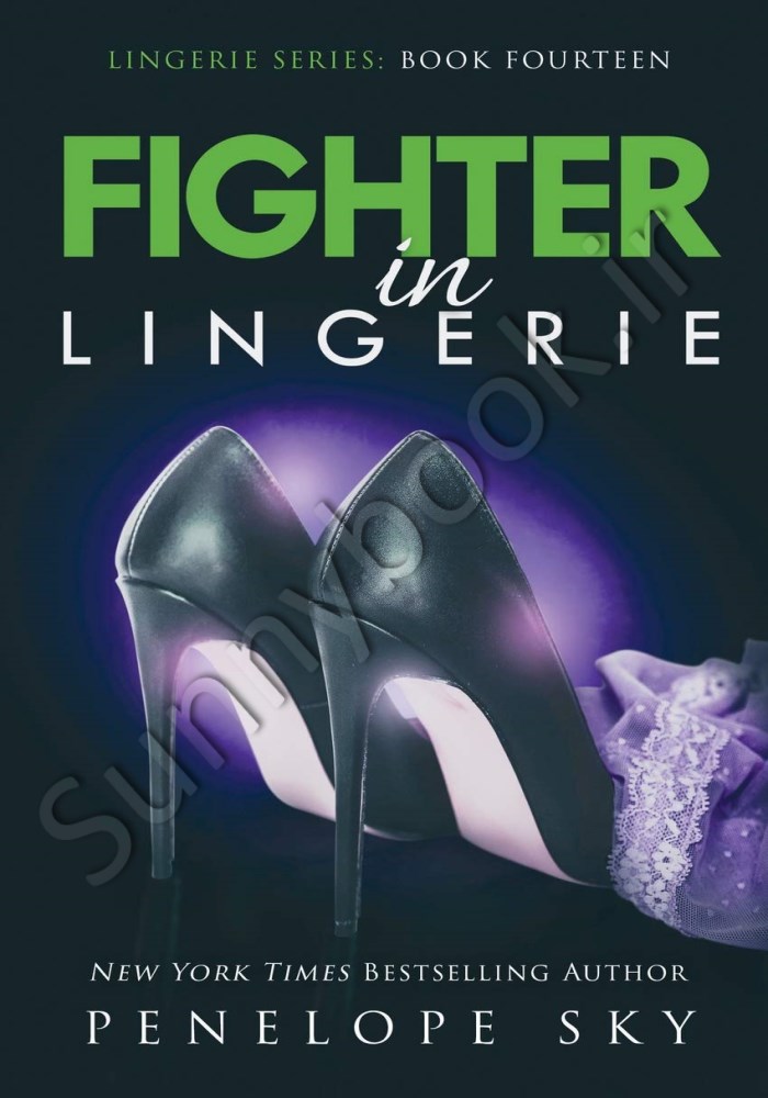 Fighter in Lingerie (Lingerie 14) main 1 1