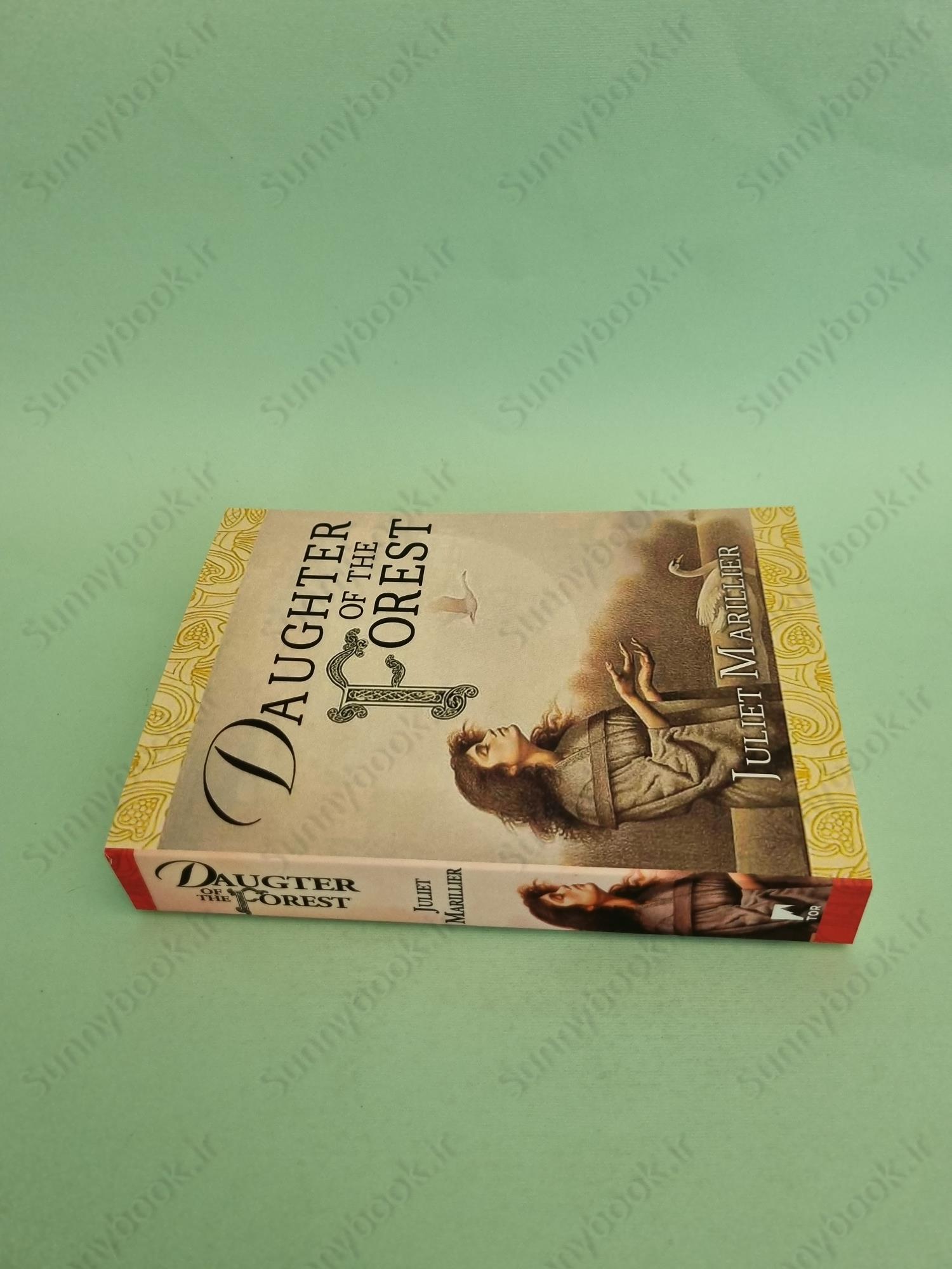 Daughter of the Forest (The Sevenwaters Book 1) main 1 4