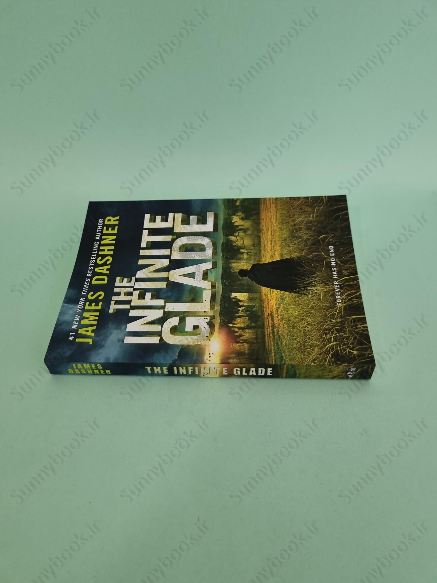 The Infinite Glade (The Maze Cutter 3 ) main 1 4