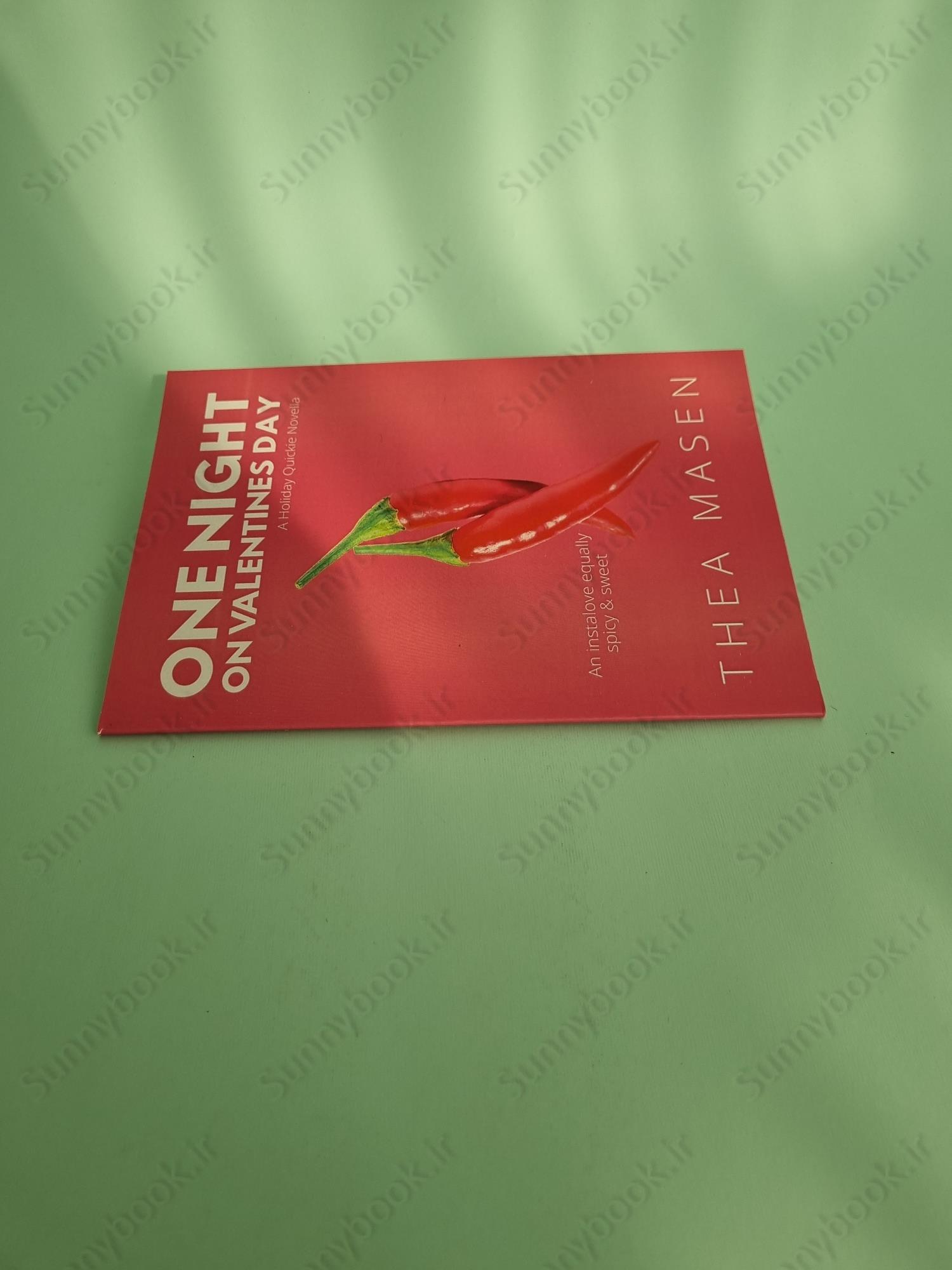 One Night on Valentine's Day main 1 4