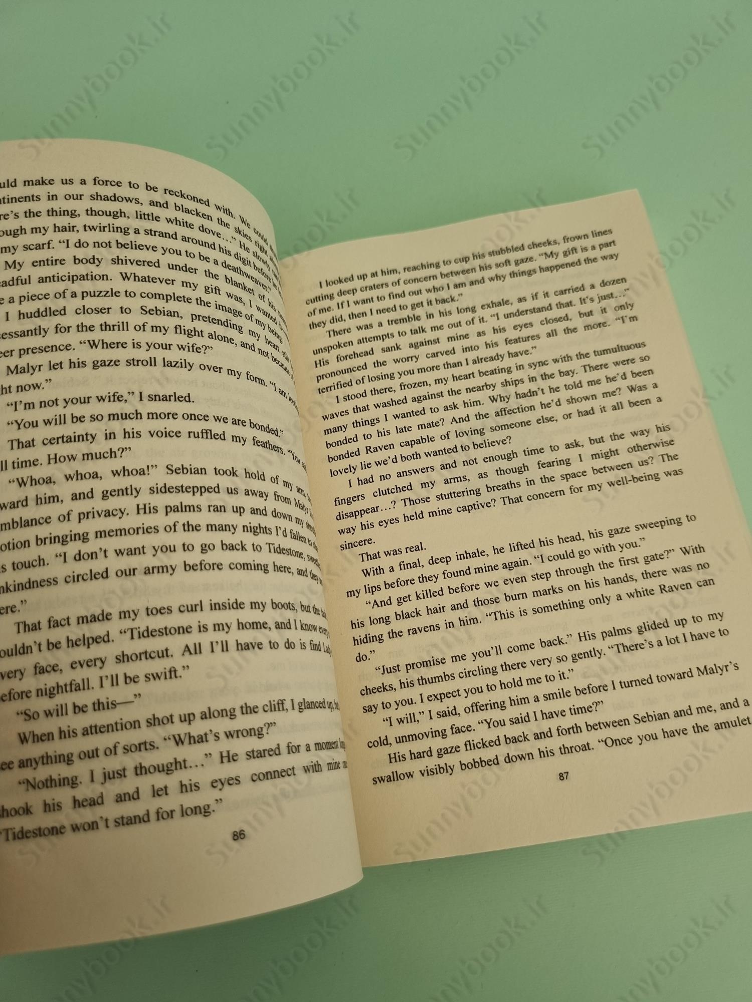 Shadows So Cruel (Court of Ravens 2) main 1 5