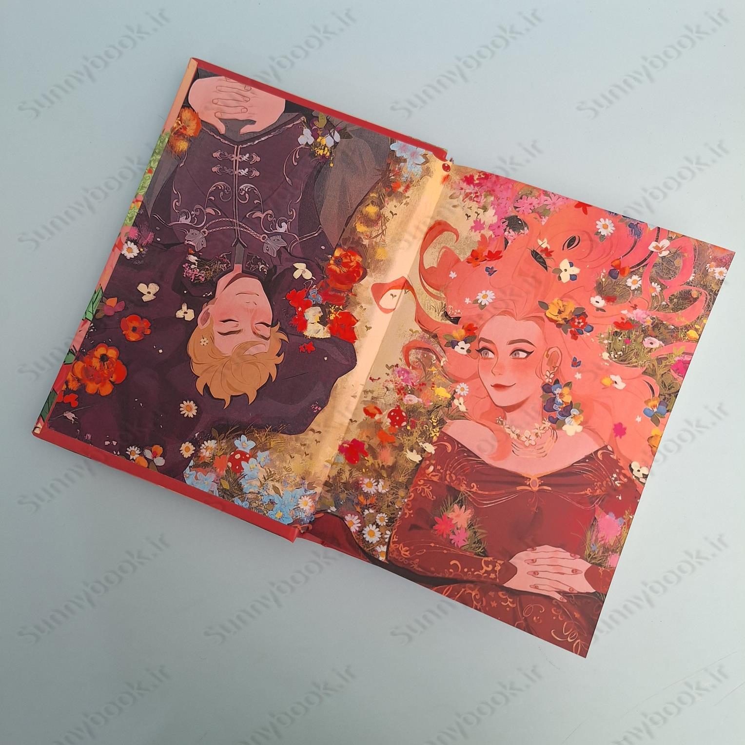 The Ballad of Never After (Once Upon a Broken Heart 2) main 1 6