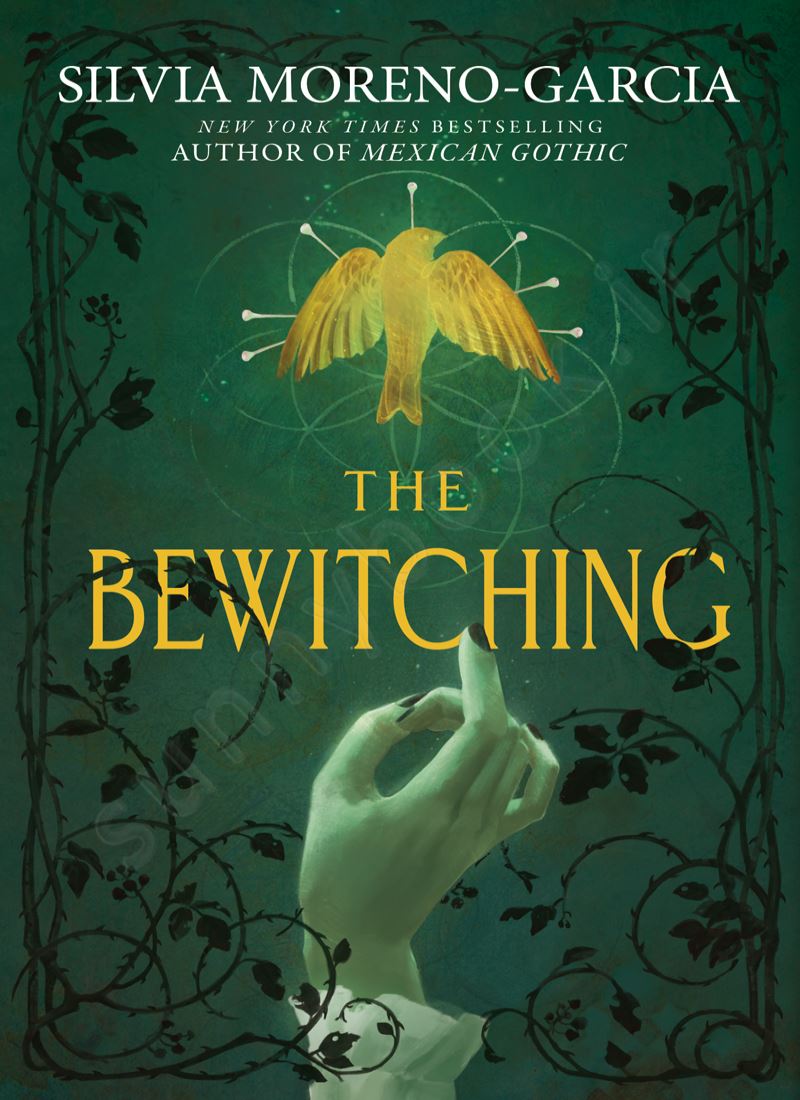 The Bewitching Model.Title