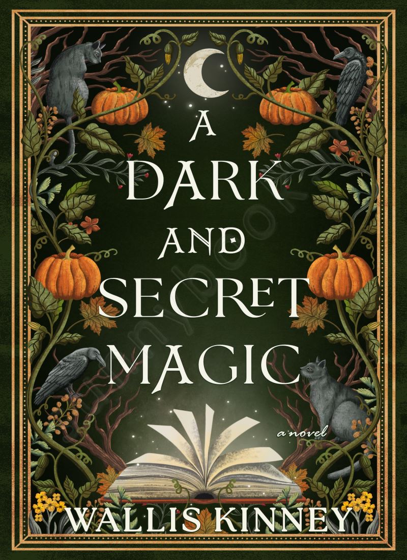 A Dark and Secret Magic Model.Title