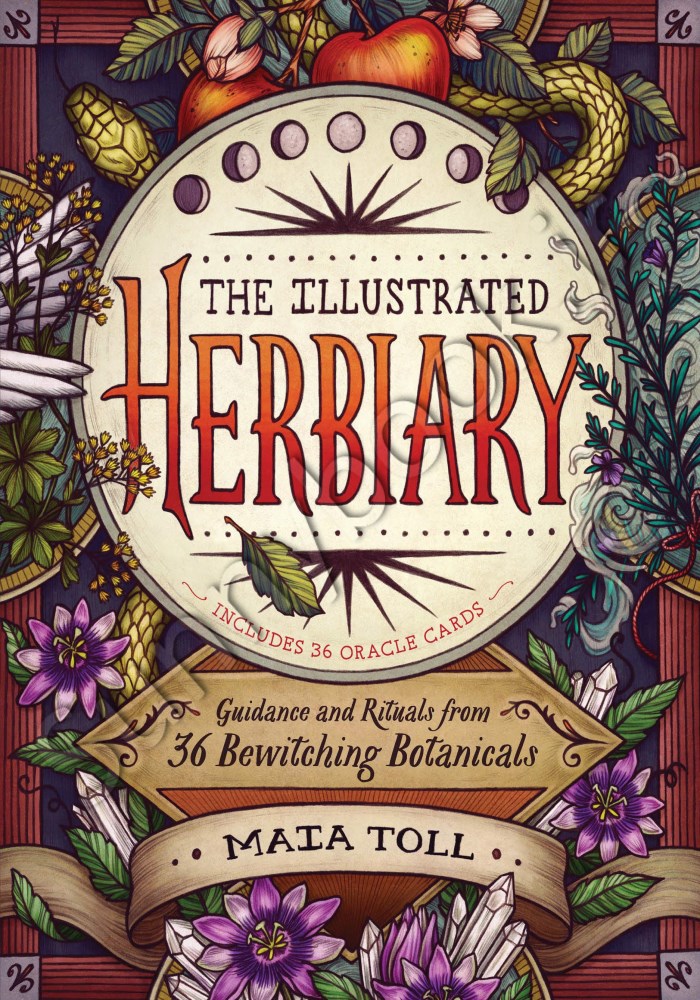 The Illustrated Herbiary main 1 1