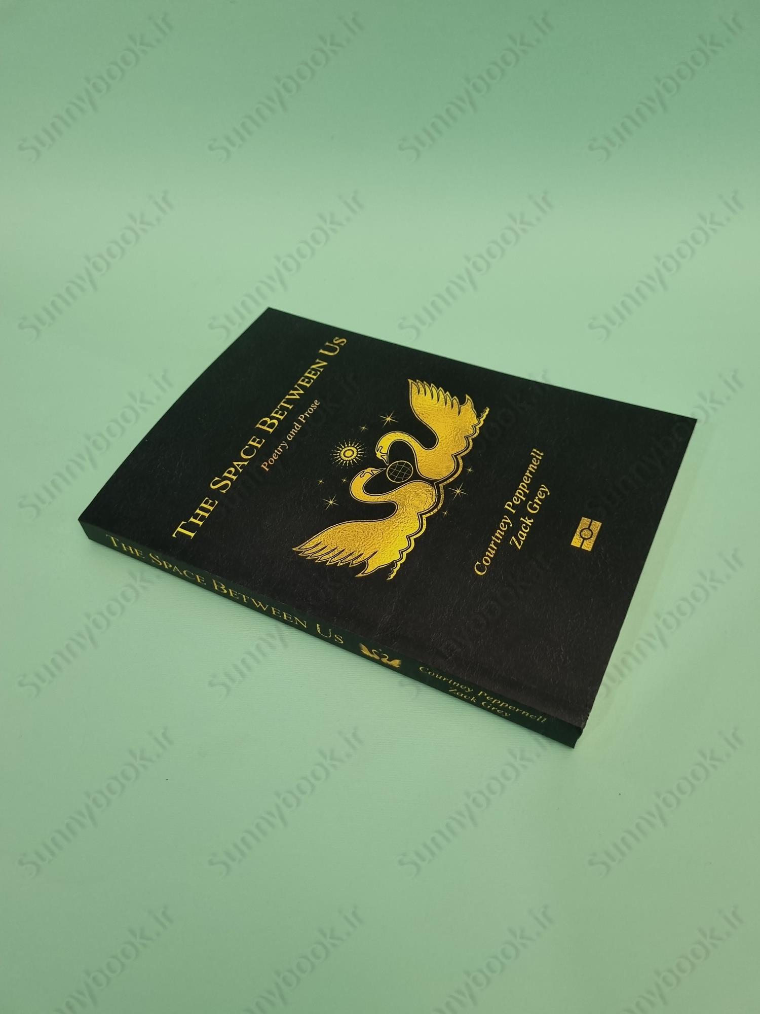 The Space Between Us: Poetry main 1 3