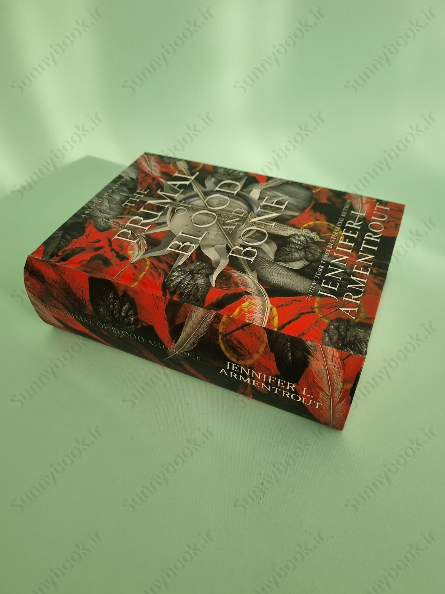 The Primal of Blood and Bone (Blood and Ash 6) main 1 3