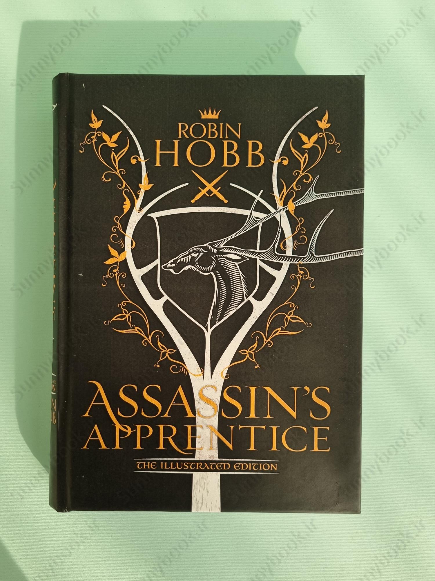 Assassin’s Apprentice: Book 1 (The Farseer Trilogy) main 1 2