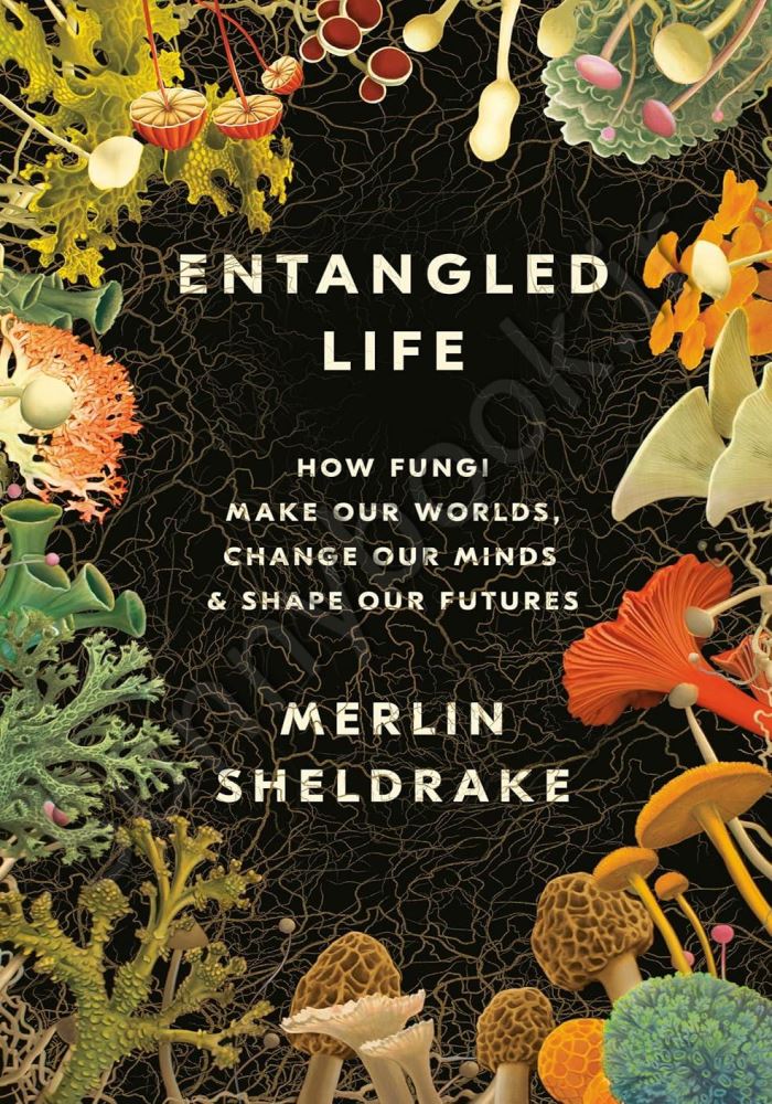 Entangled Life: How Fungi Make Our Worlds main 1 1