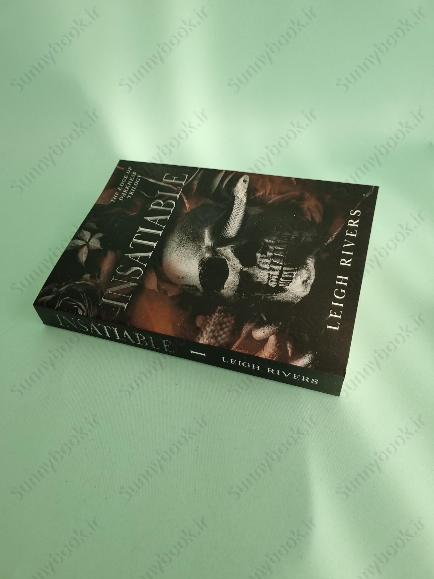 Insatiable (The Edge of Darkness 1) main 1 3