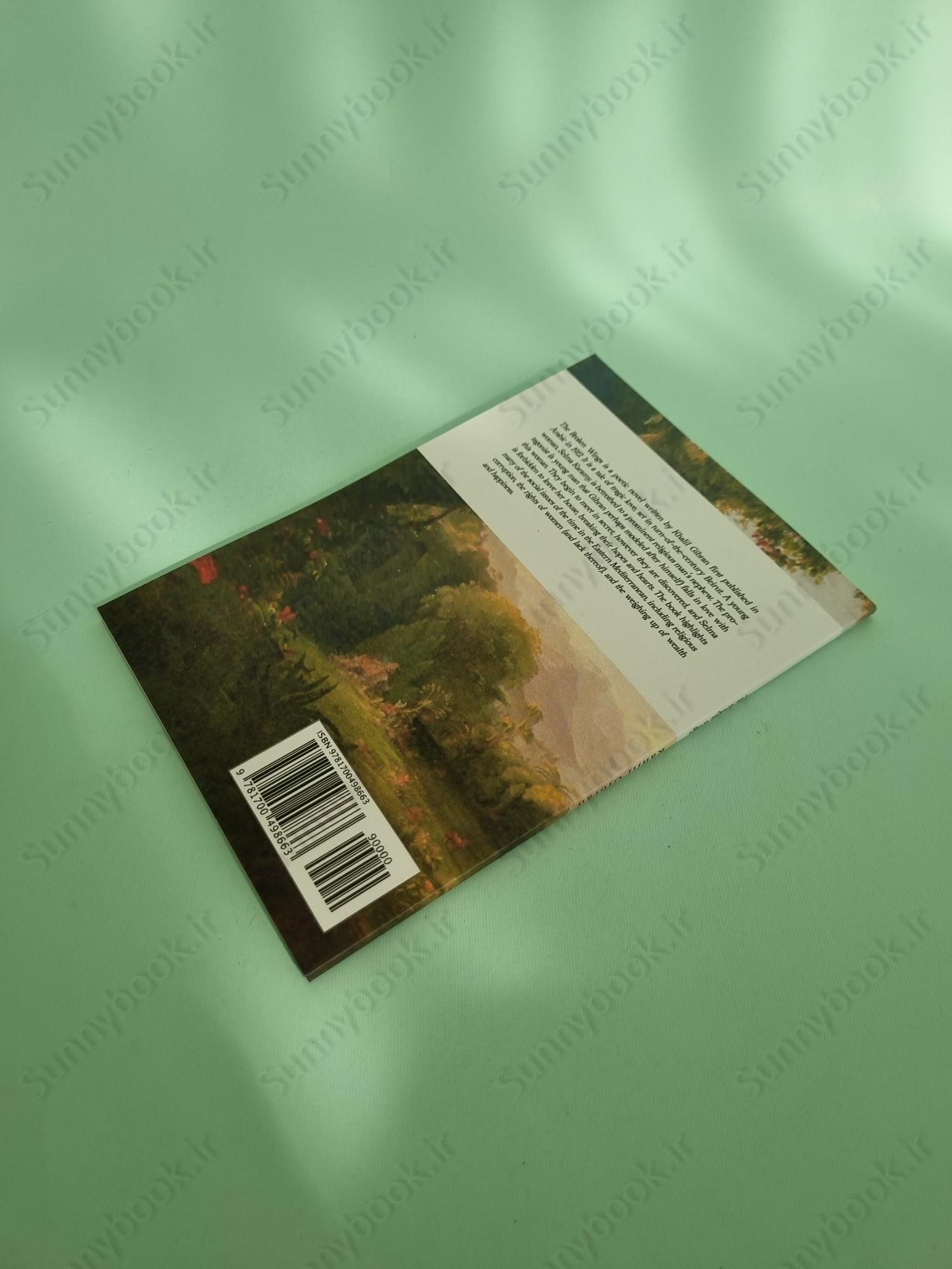 The Broken Wings main 1 5