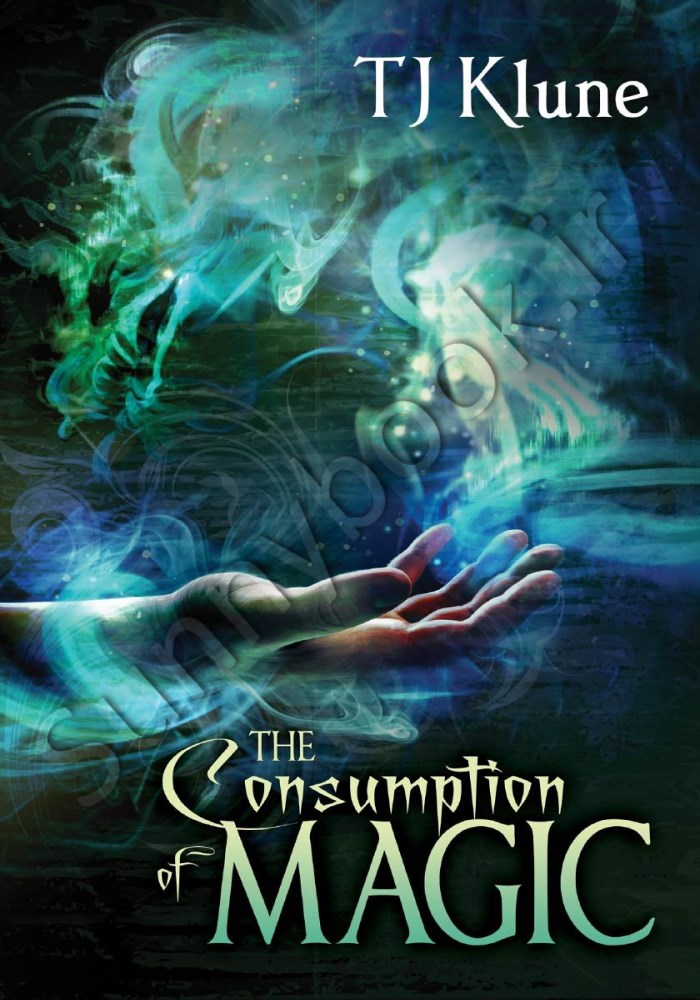 The Consumption of Magic (Tales From Verania 3) main 1 1