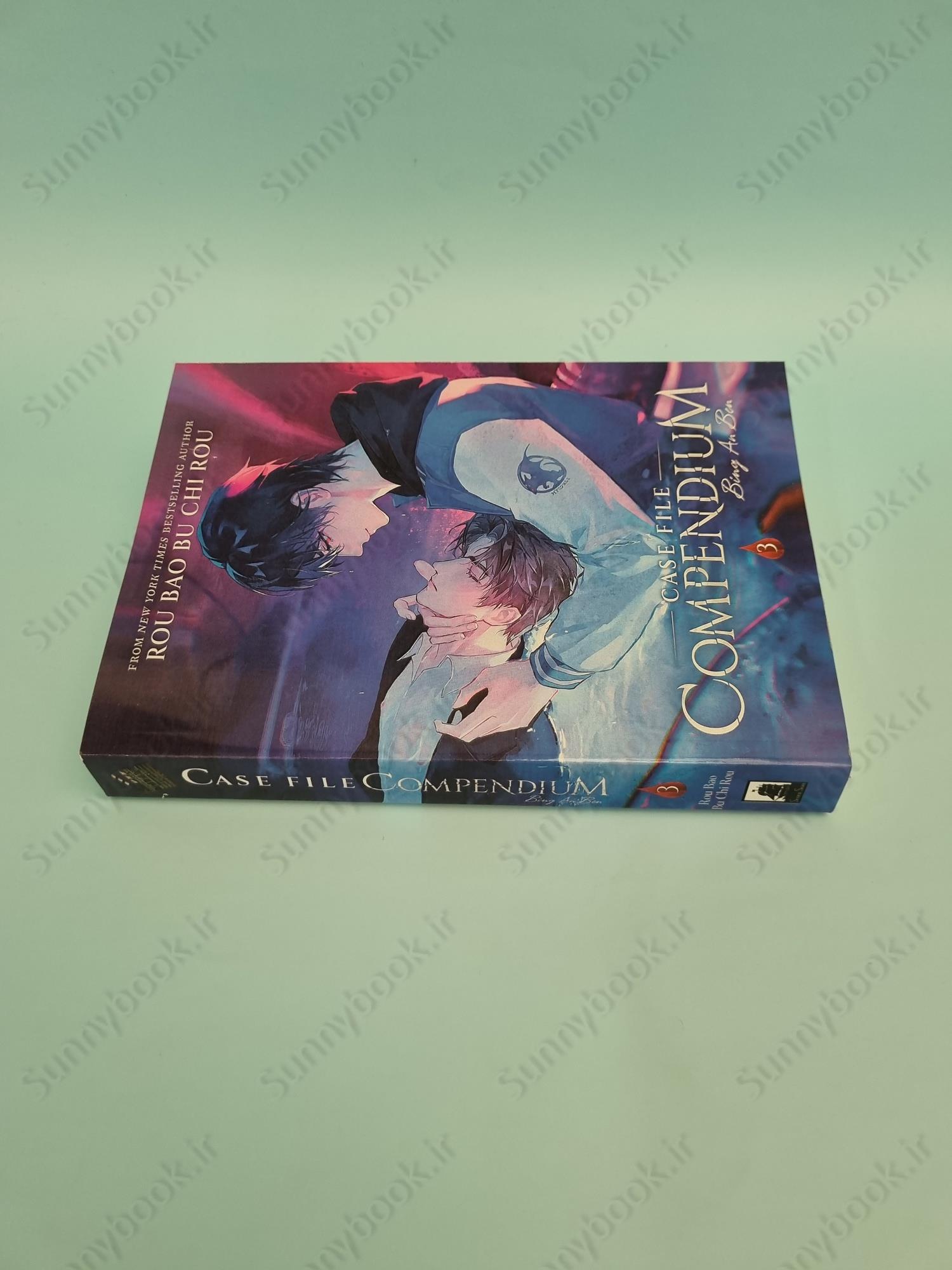Case File Compendium: Bing An Ben (Novel) Vol. 3 main 1 4