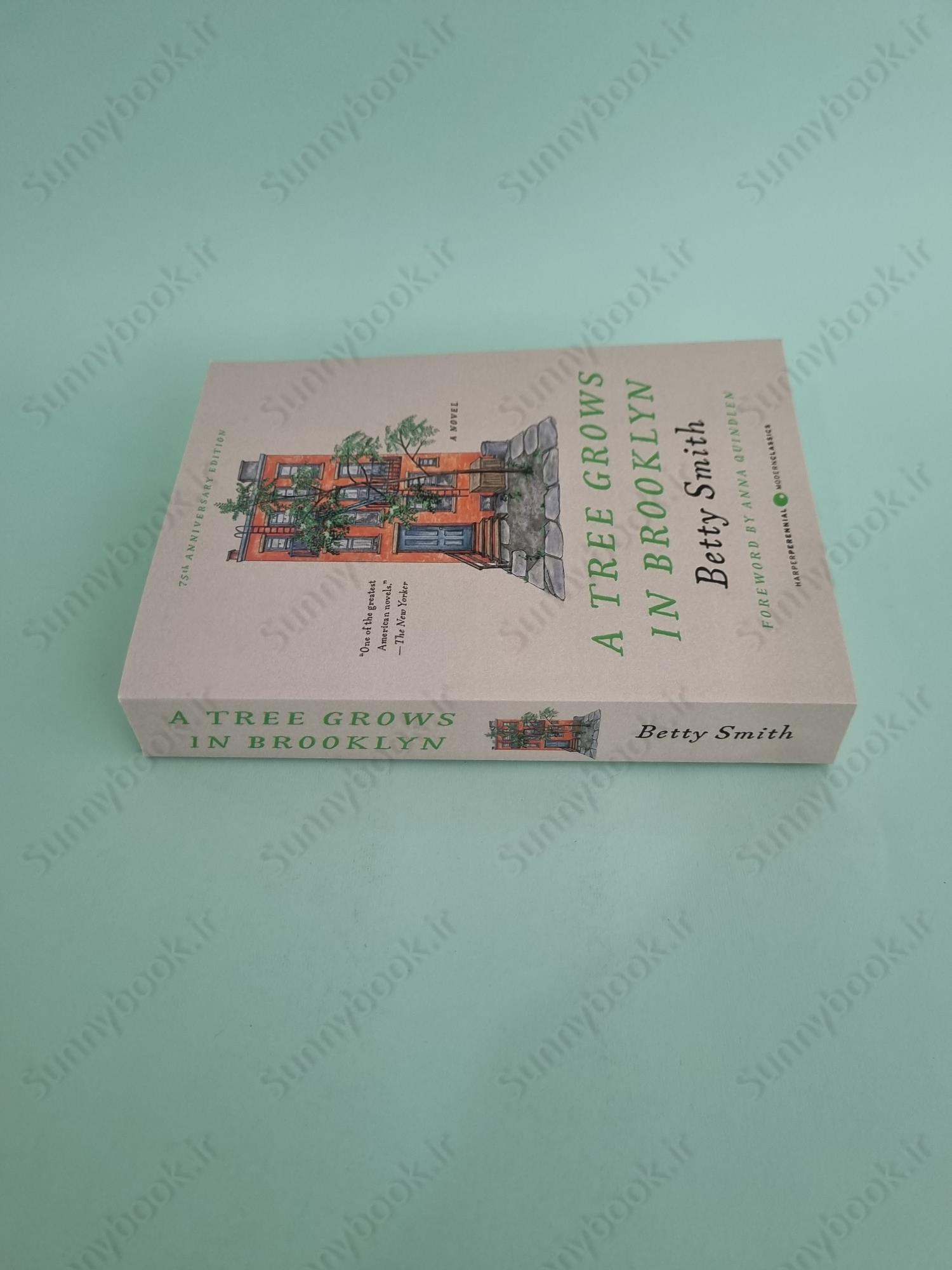 A Tree Grows in Brooklyn main 1 4