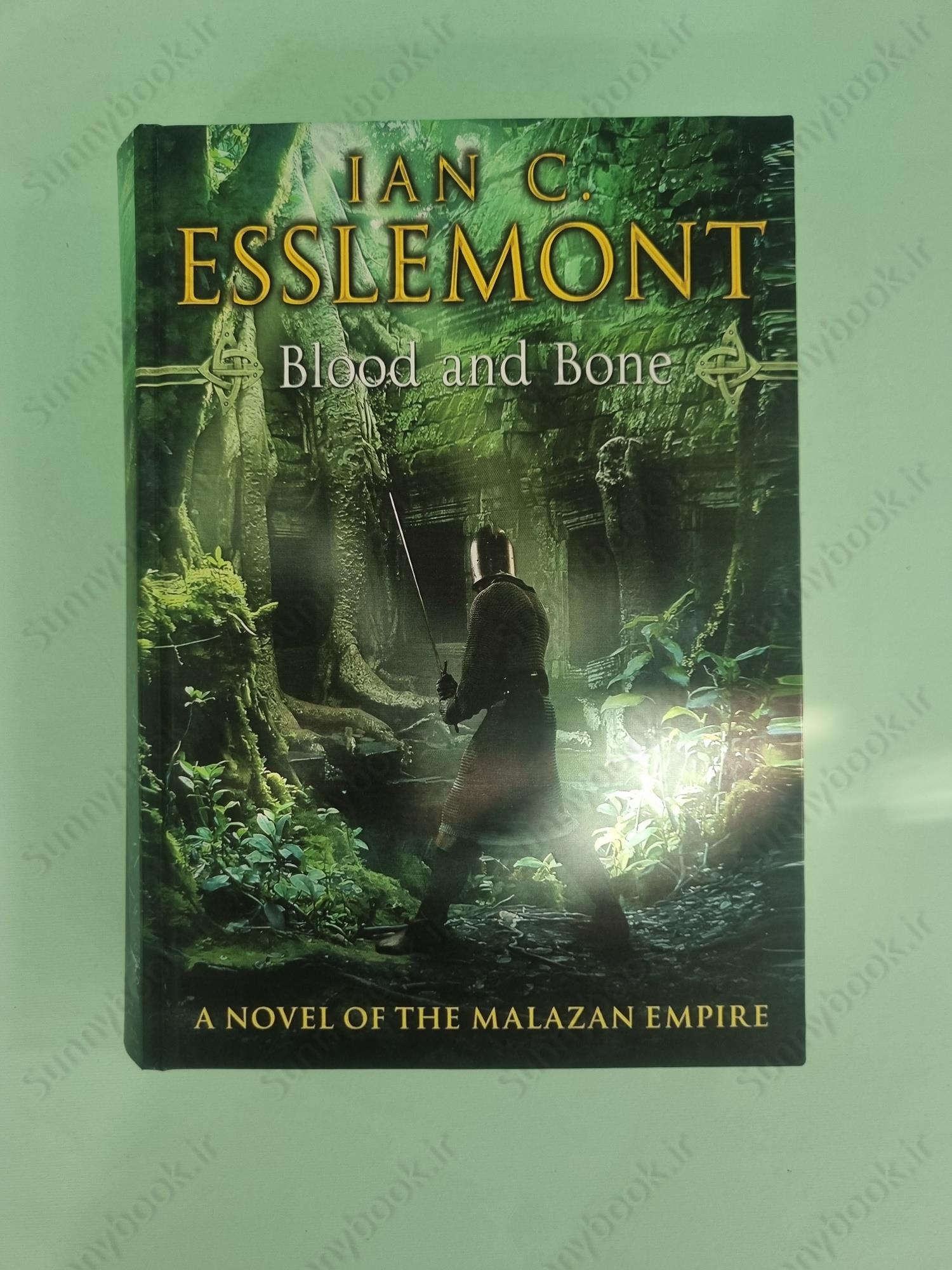 Blood and Bone (The Malazan Empire 5) main 1 2