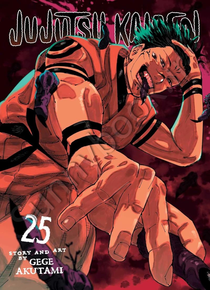 Jujutsu Kaisen, Vol. 25 main 1 1