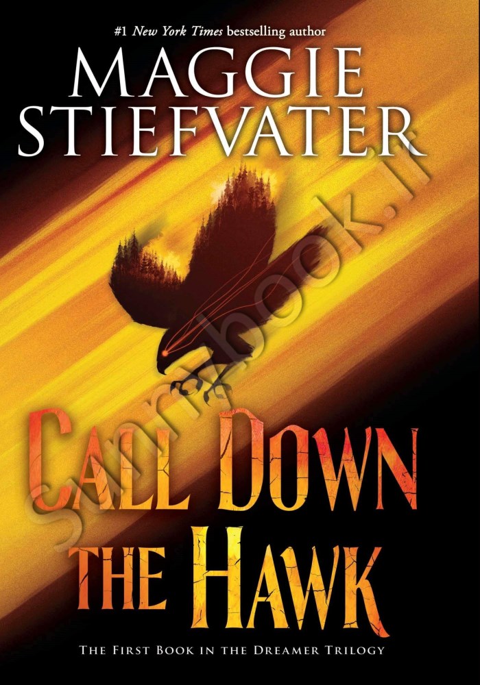 Call Down the Hawk (Dreamer 1) main 1 1