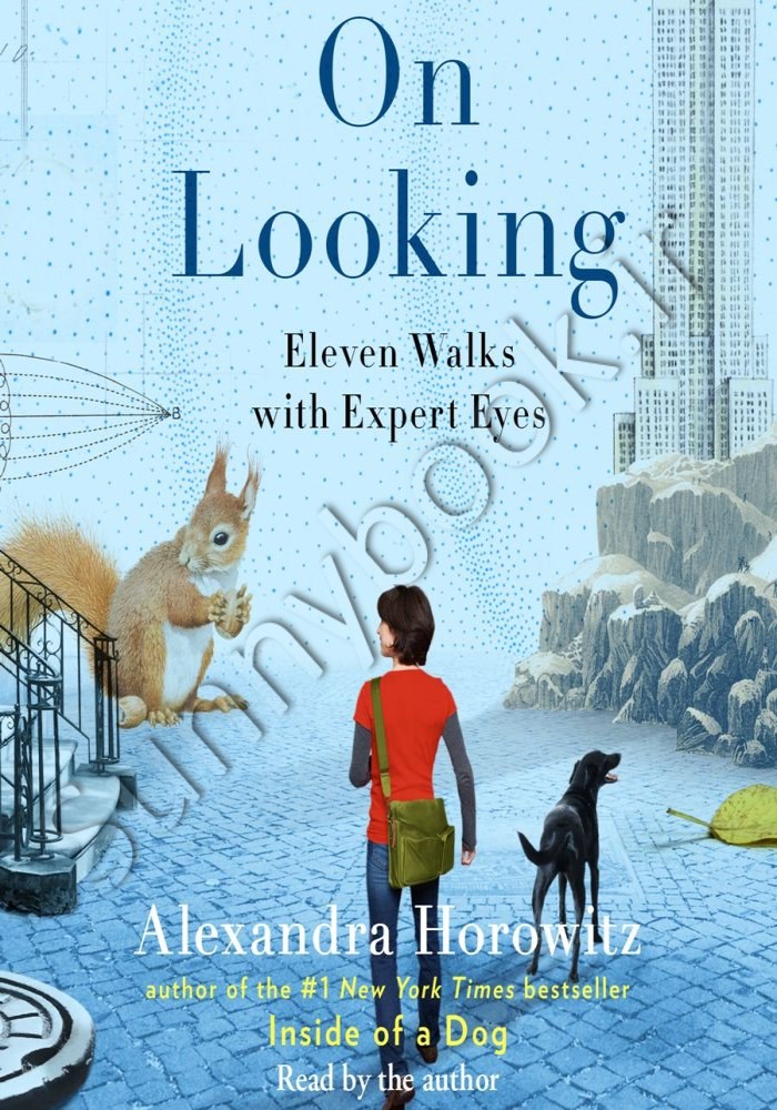 On Looking: Eleven Walks with Expert Eyes main 1 1