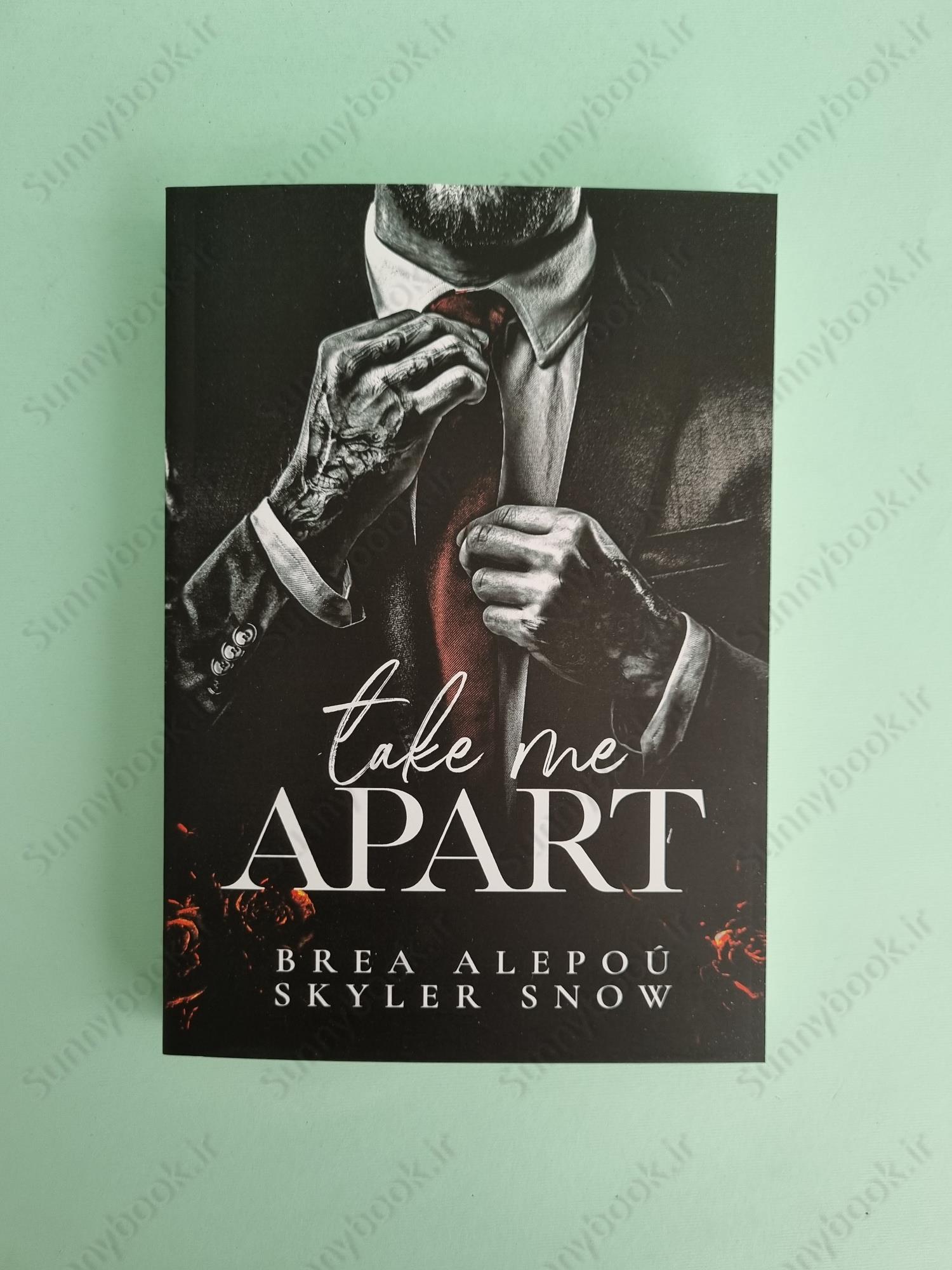 Take Me Apart (Vitale Brothers Book 1) main 1 2