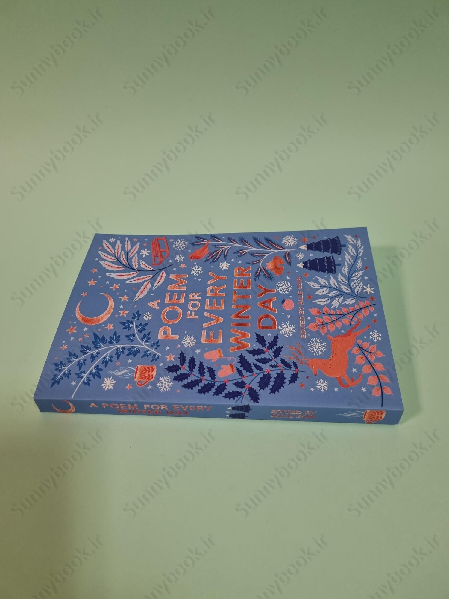 A Poem for Every Winter Day main 1 4