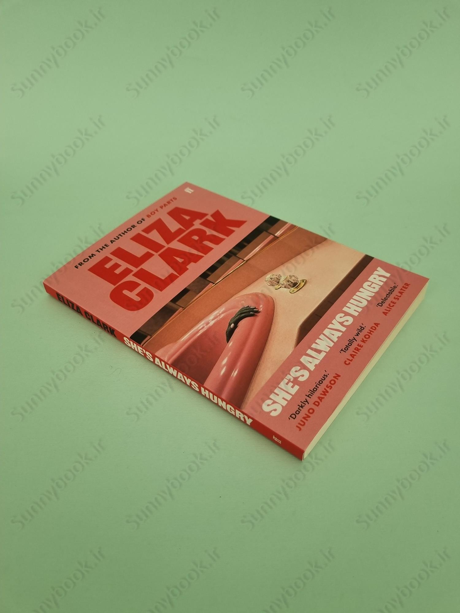 She's Always Hungry: Stories main 1 3