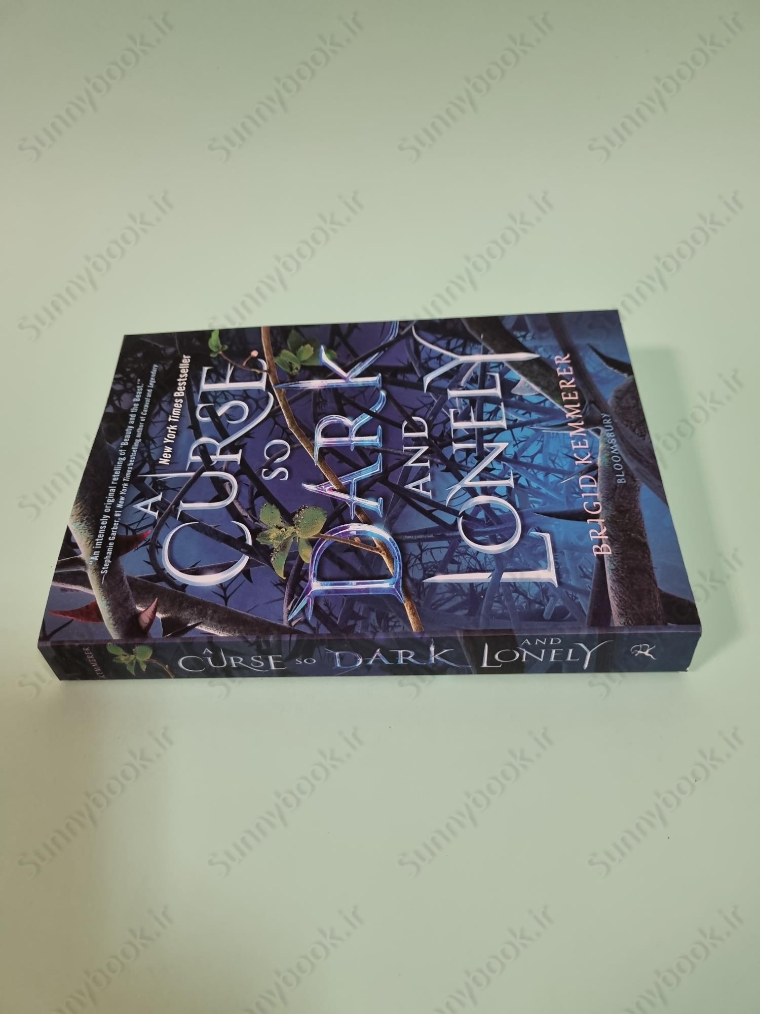 A Curse So Dark and Lonely (Cursebreakers 1) main 1 4